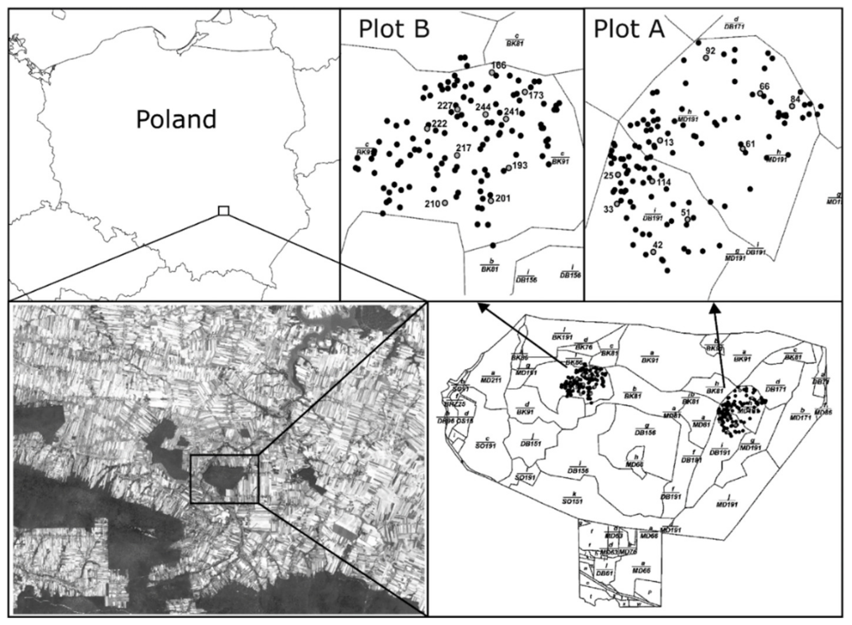 Forests 10 01139 g001