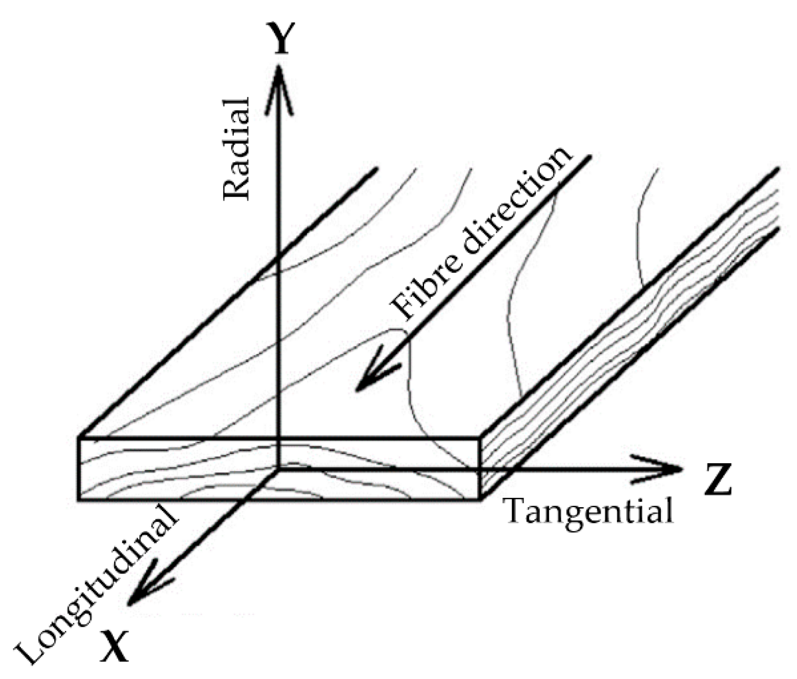 Forests 10 01140 g005