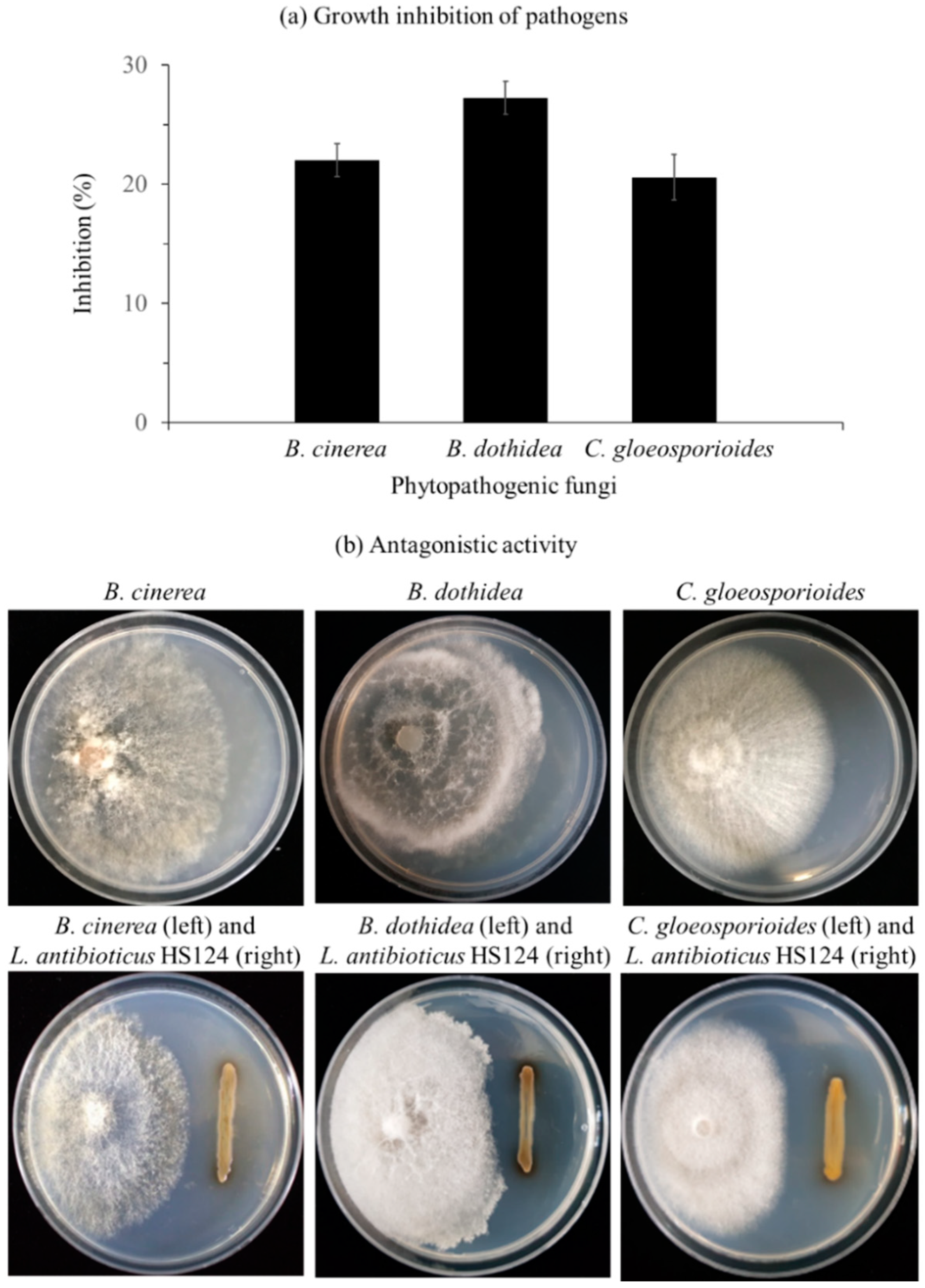 Forests 10 01146 g004 Forests 10 01146 g004
