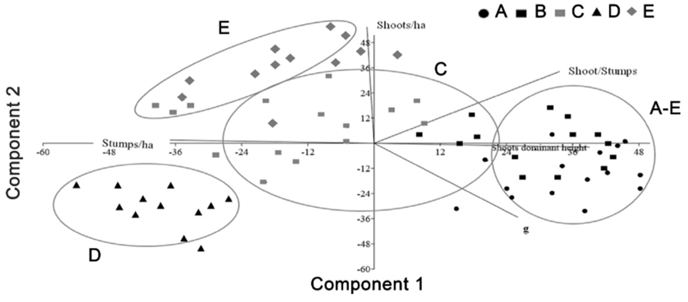 Forests 10 01148 g003 Forests 10 01148 g003