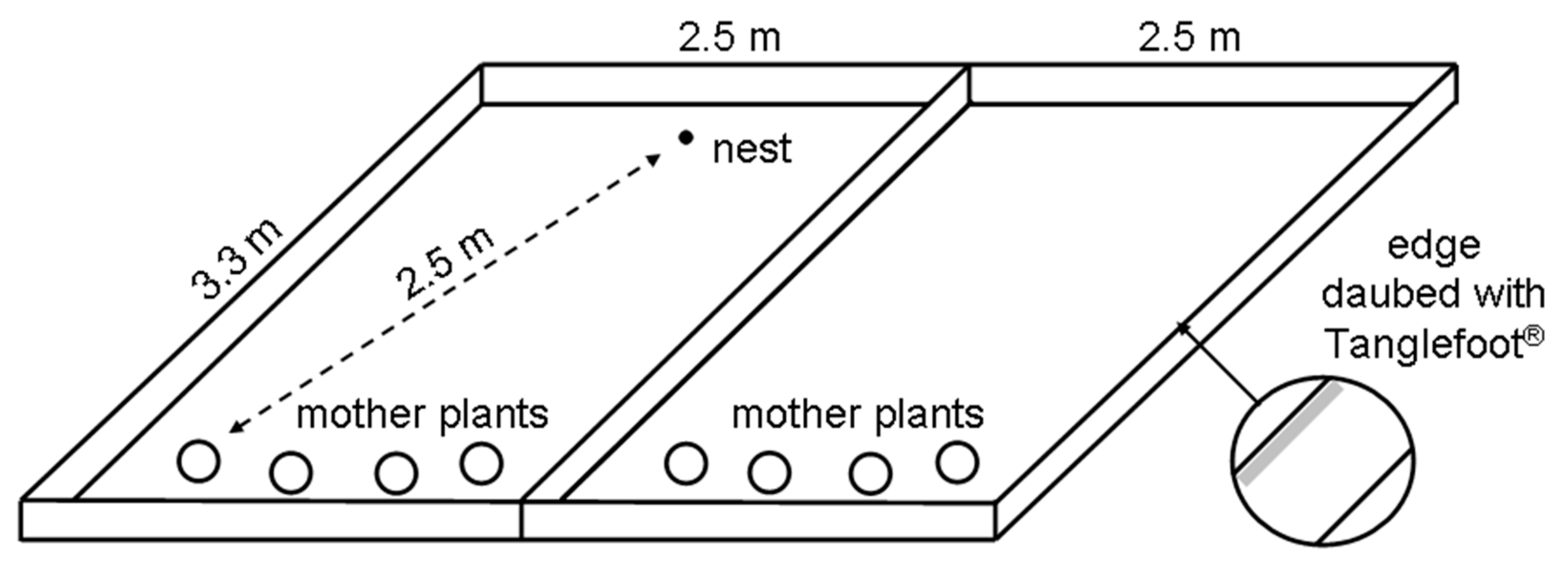 Forests 10 01149 g001 Forests 10 01149 g001