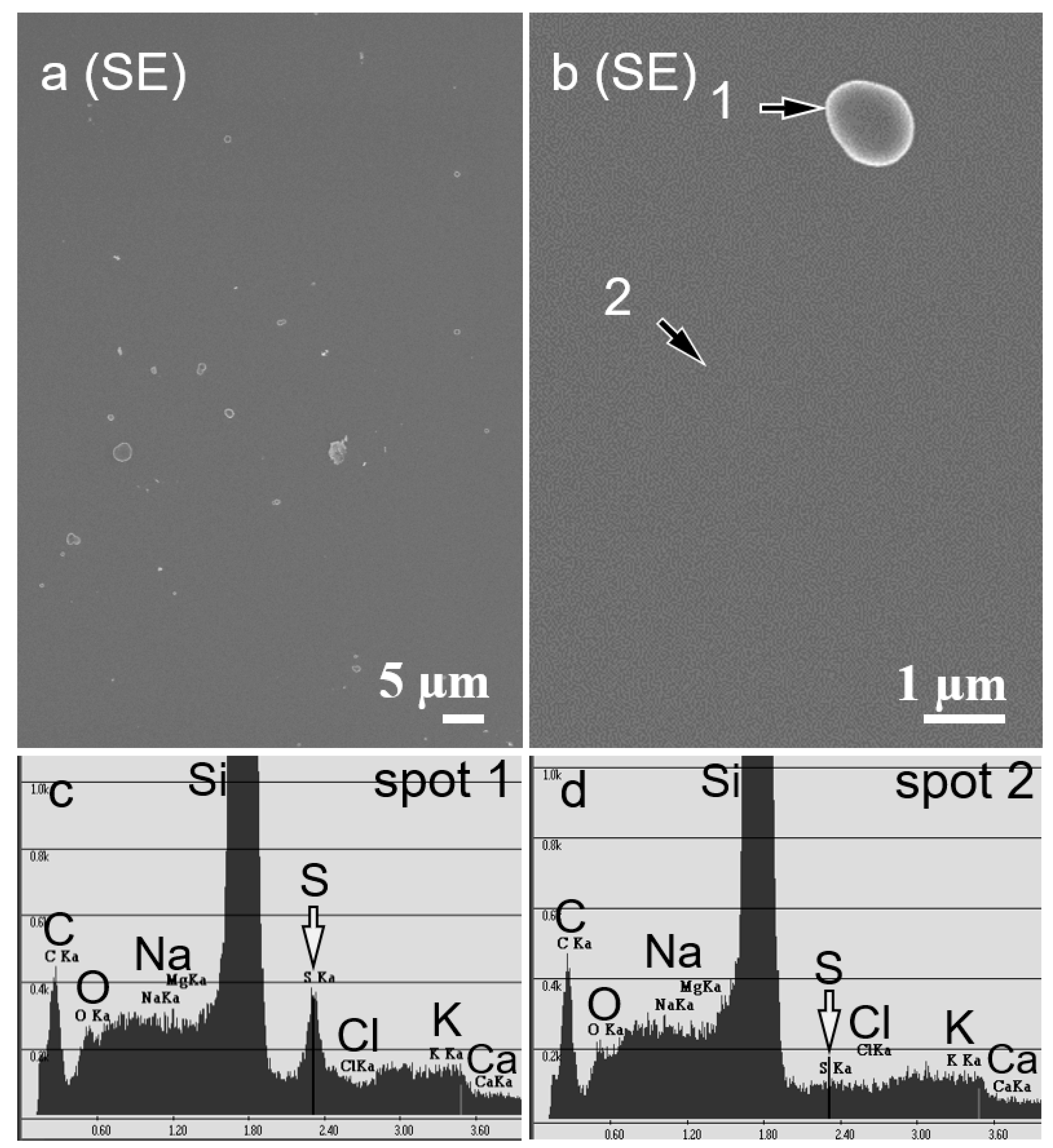 Forests 10 01151 g001
