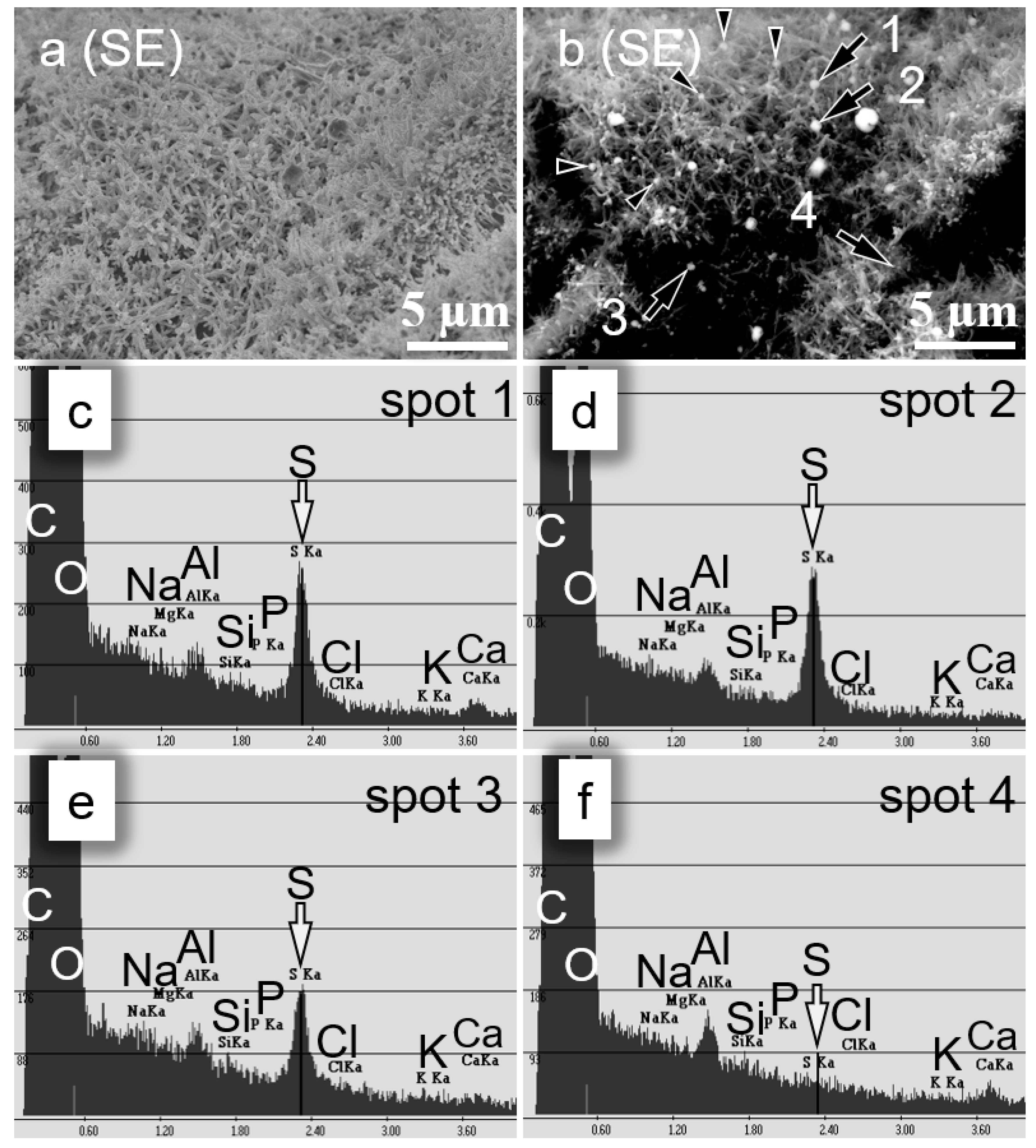 Forests 10 01151 g002