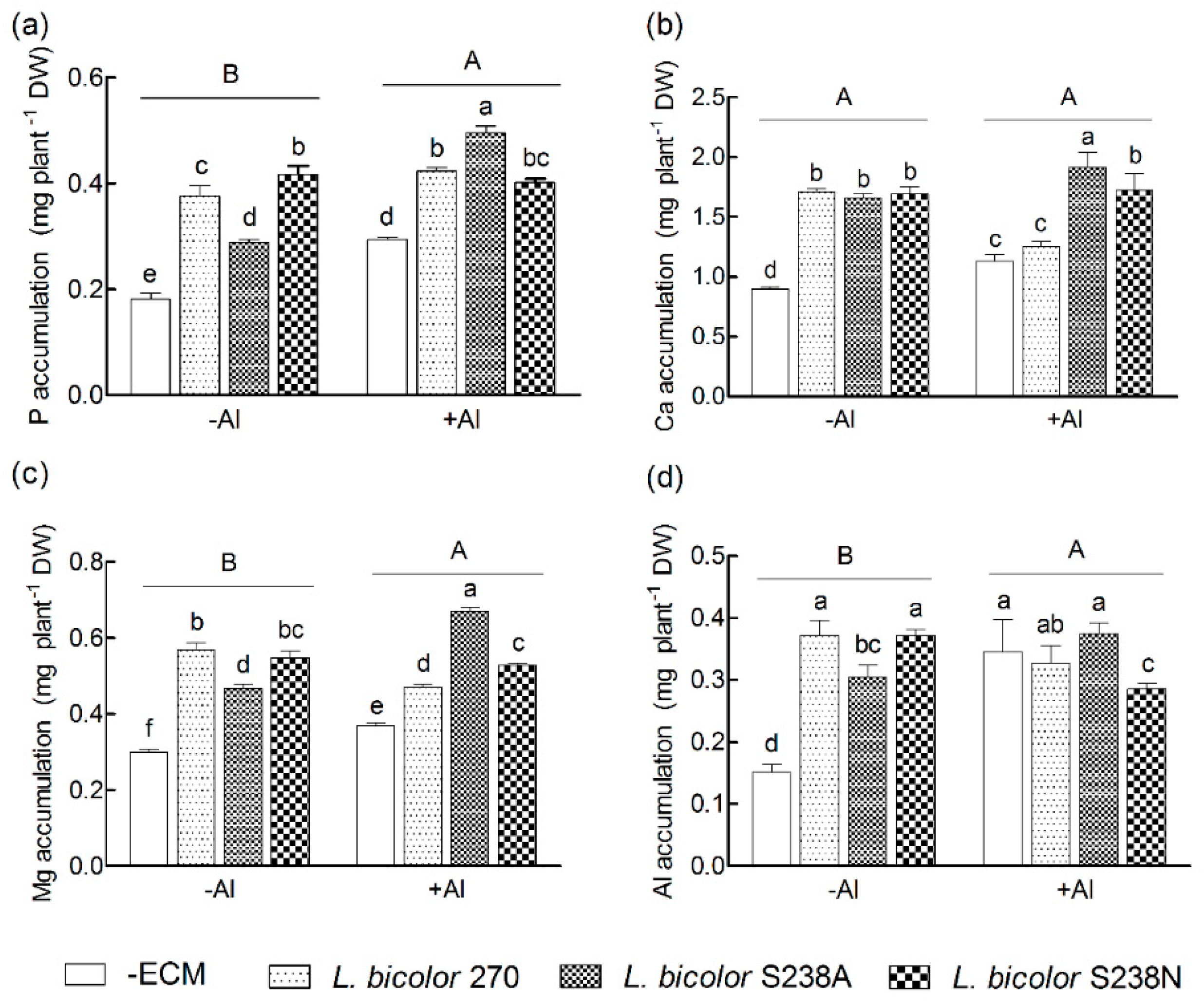 Forests 10 01153 g002 Forests 10 01153 g002