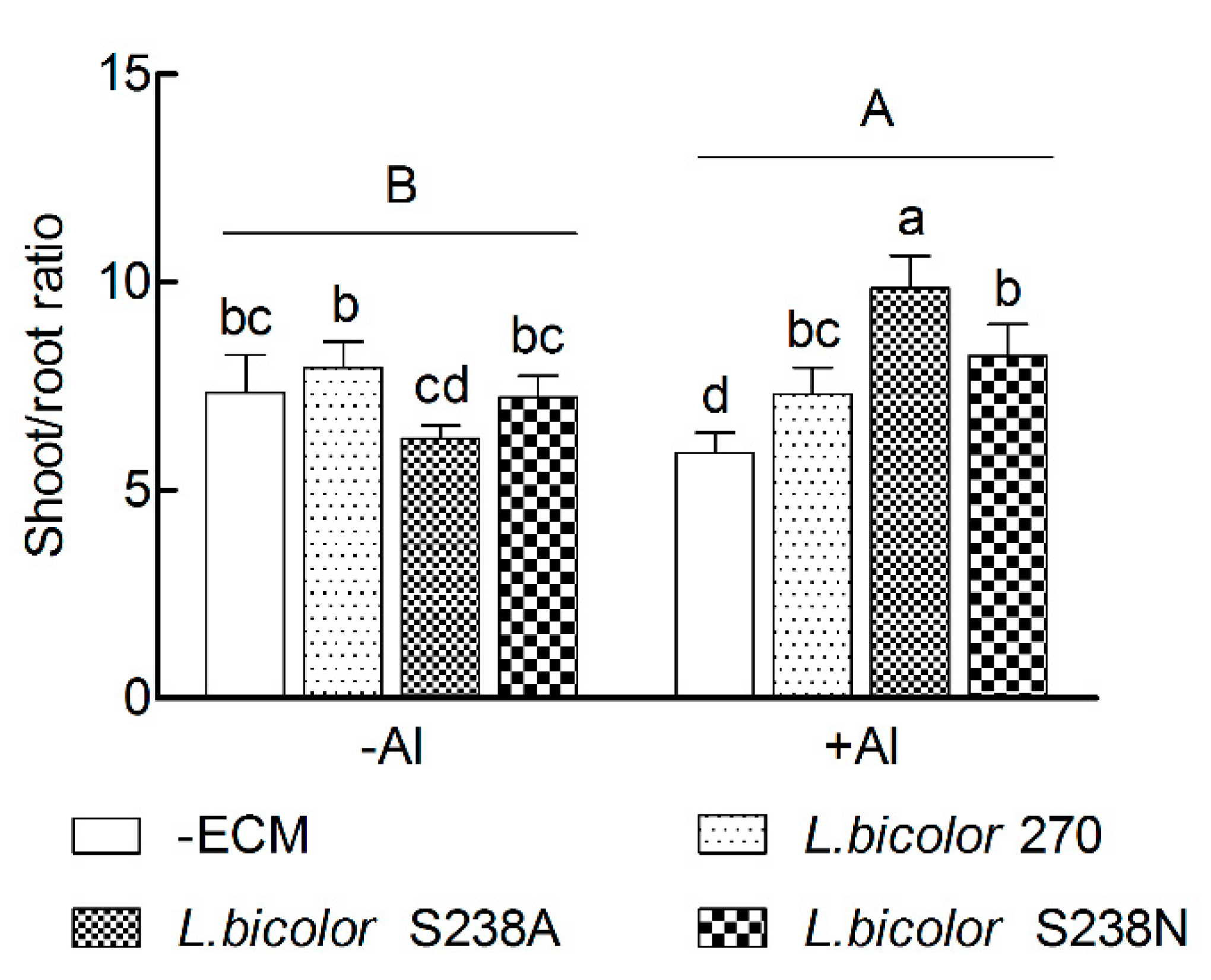 Forests 10 01153 g003 Forests 10 01153 g003