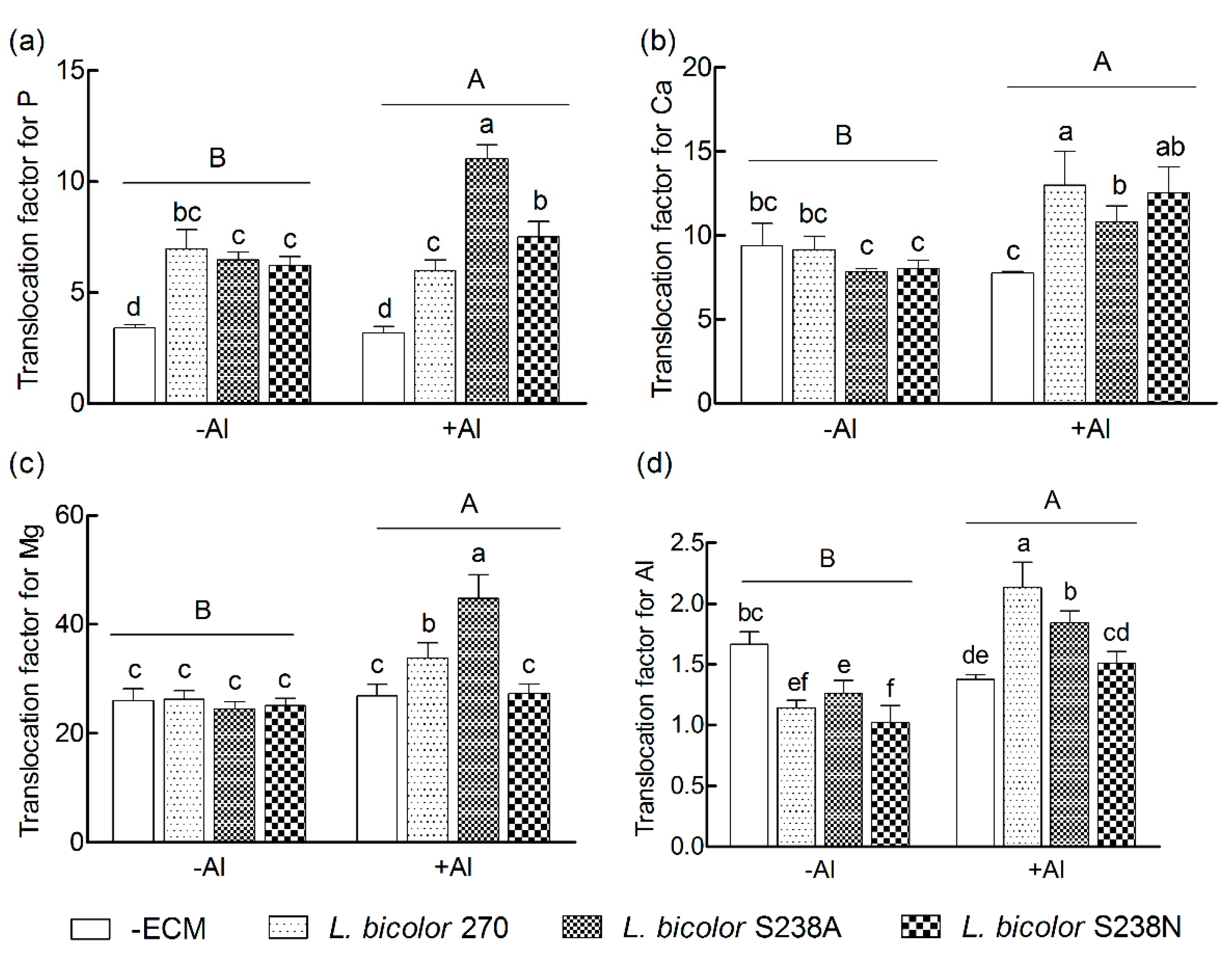 Forests 10 01153 g004 Forests 10 01153 g004