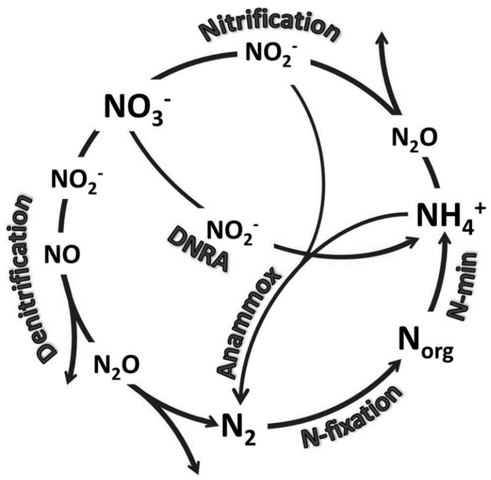 Forests 10 01155 g001 Forests 10 01155 g001