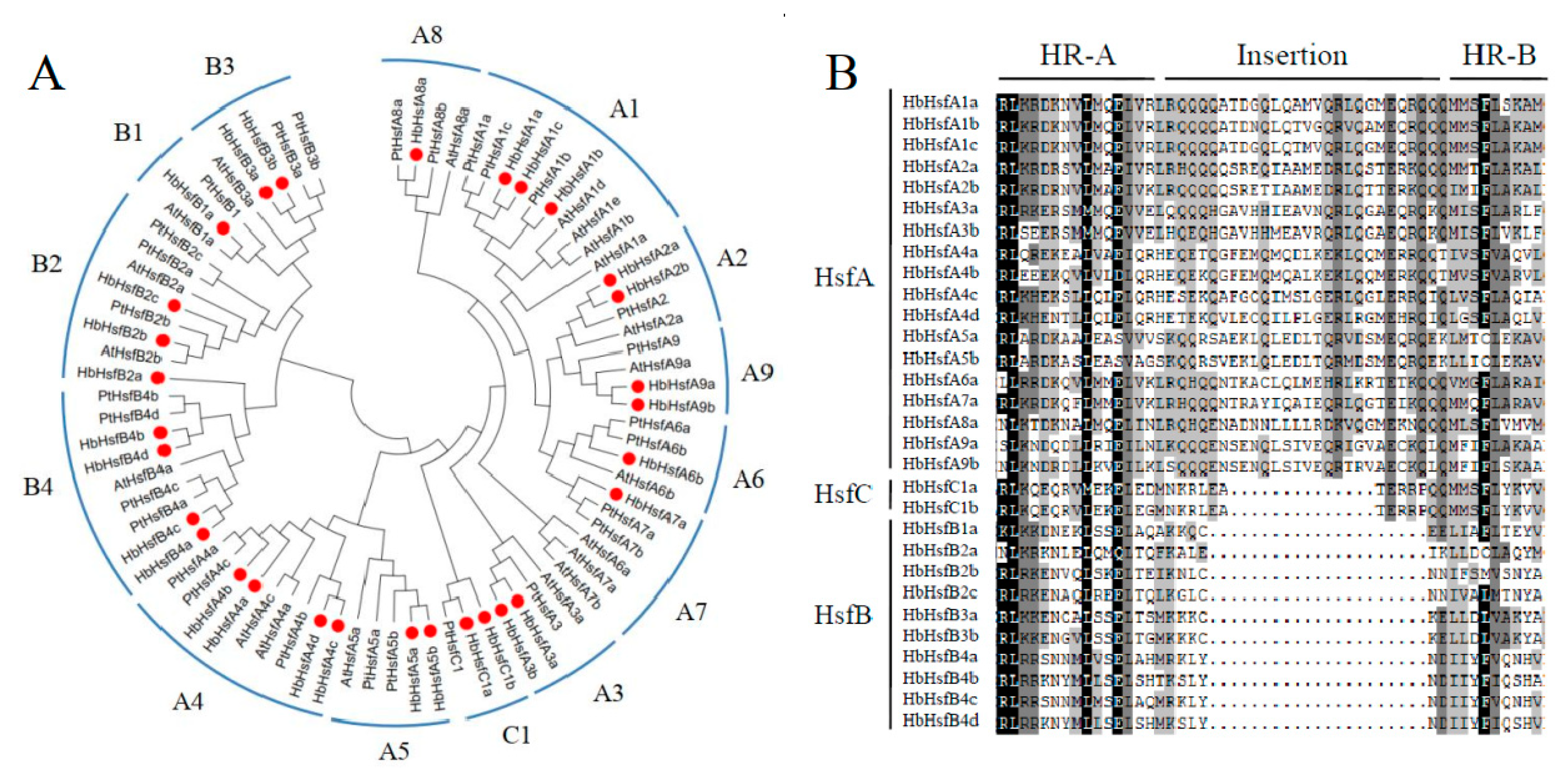 Forests 10 01157 g002