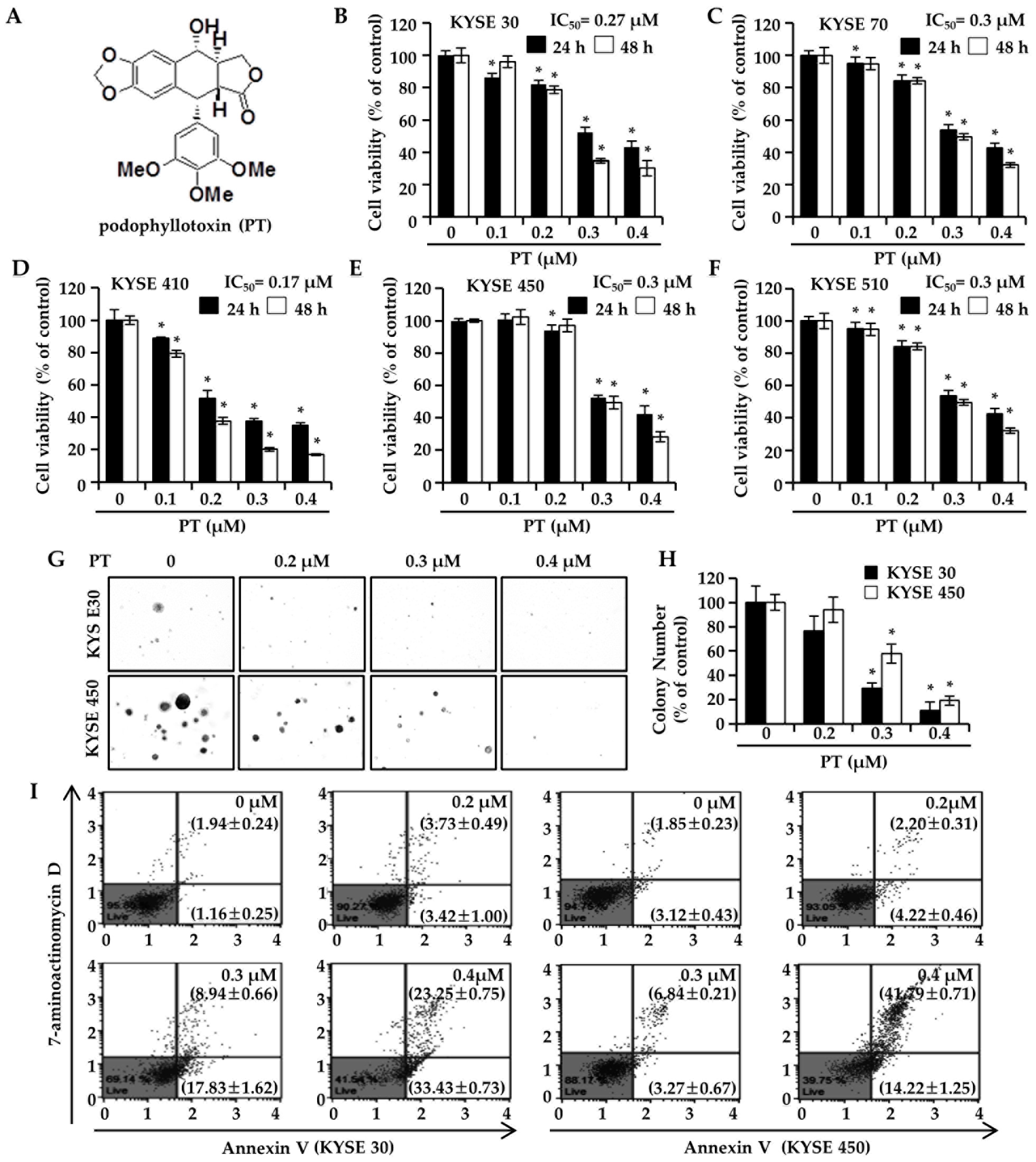 Forests 11 00008 g001 Forests 11 00008 g001