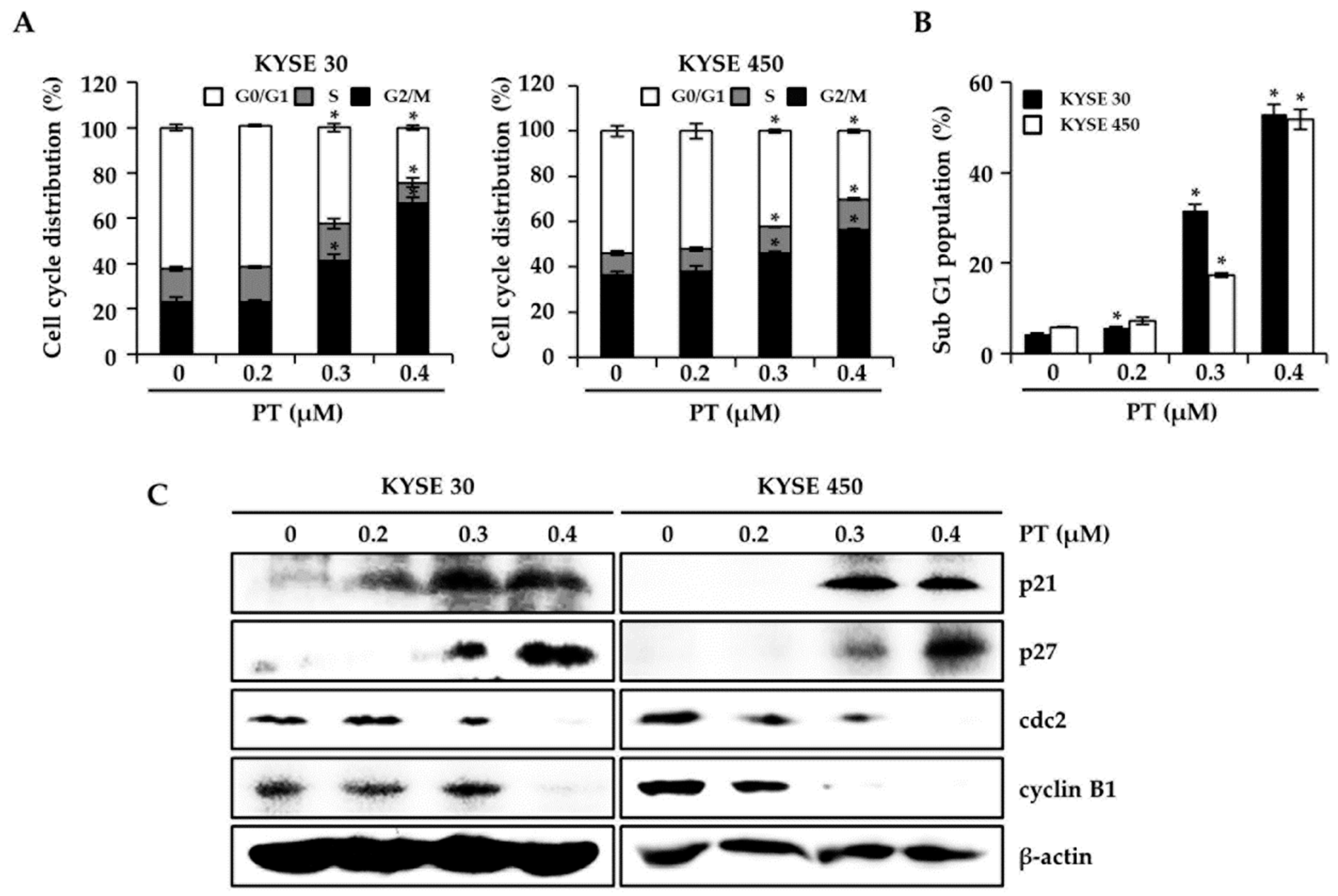 Forests 11 00008 g002 Forests 11 00008 g002