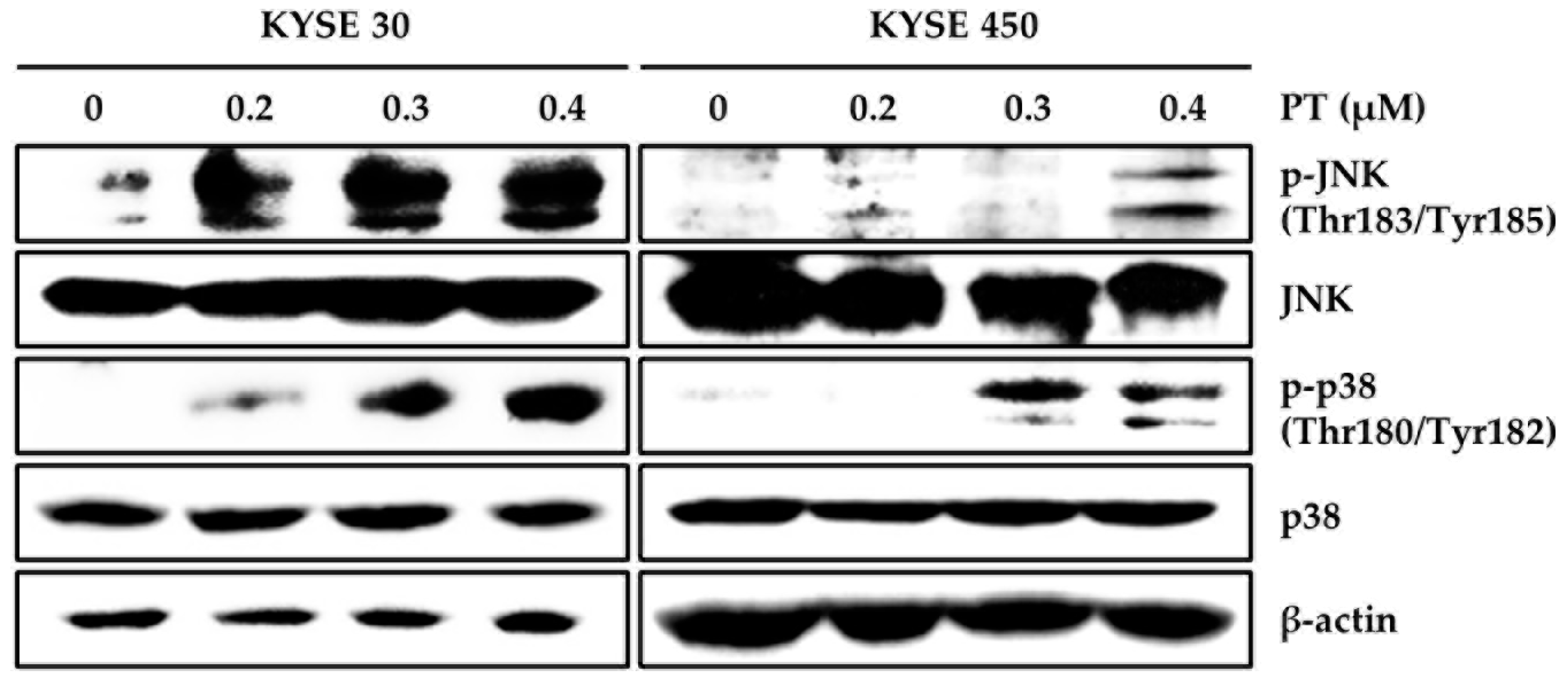 Forests 11 00008 g004 Forests 11 00008 g004