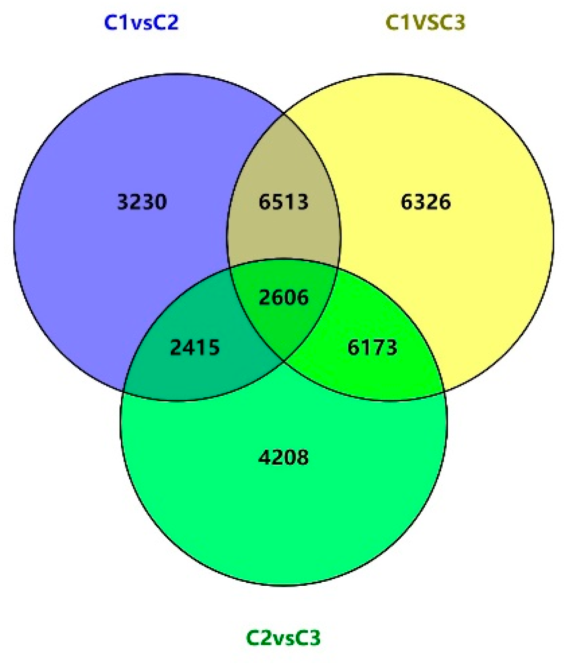Forests 11 00010 g003