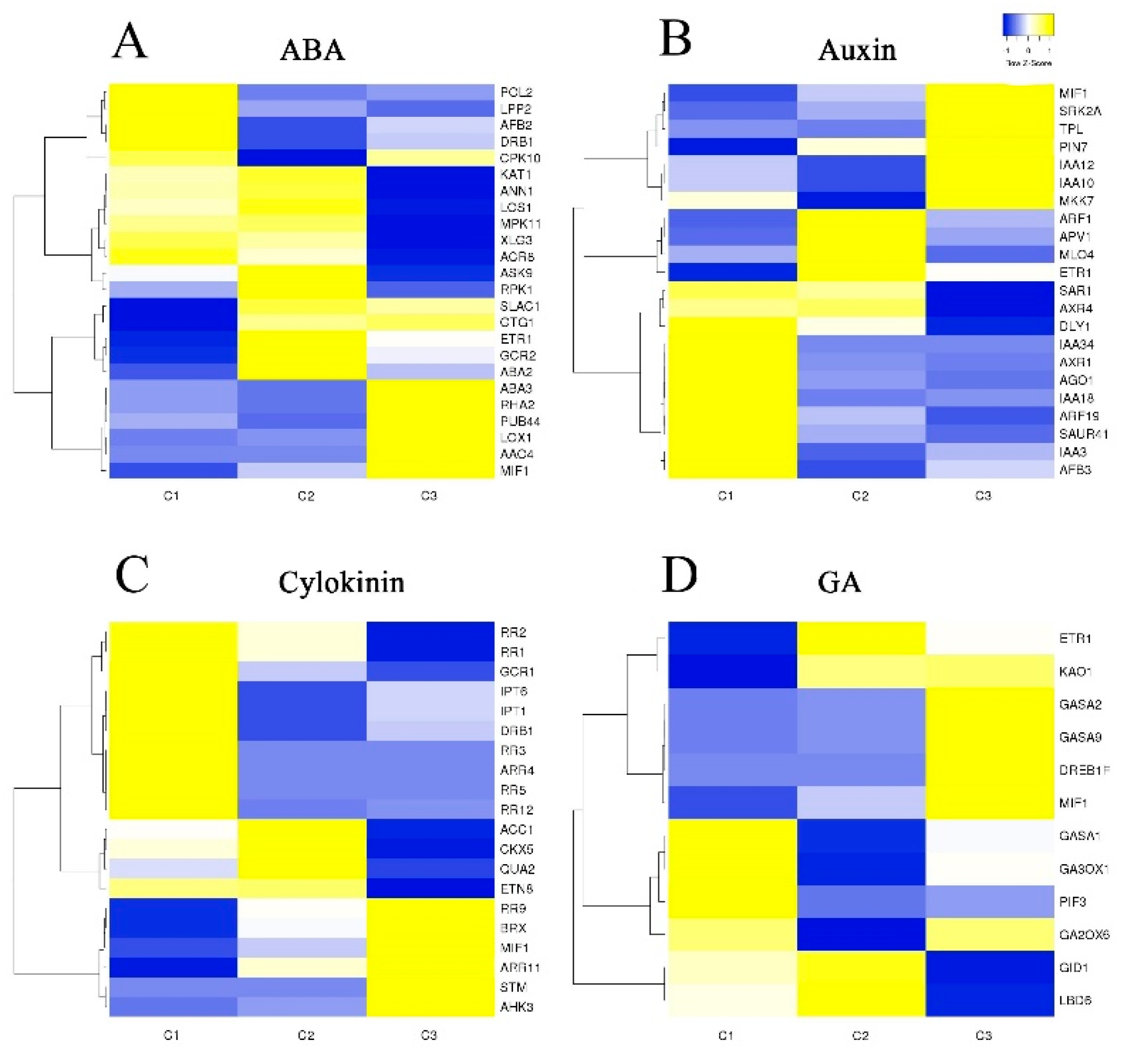 Forests 11 00010 g006