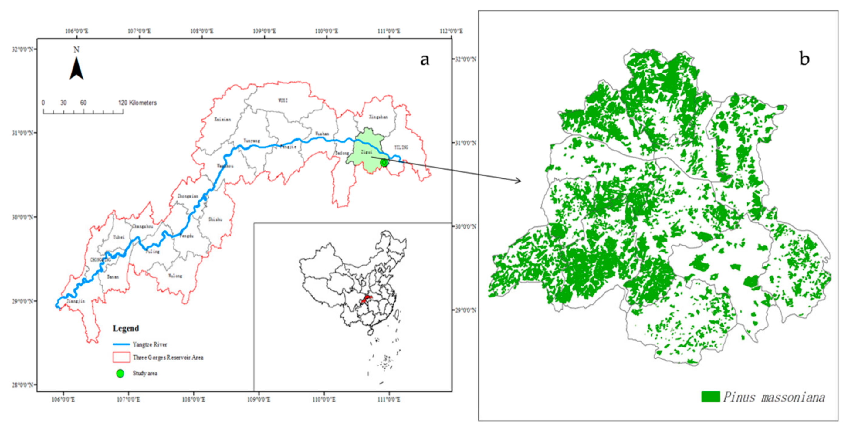 Forests 11 00014 g001 Forests 11 00014 g001