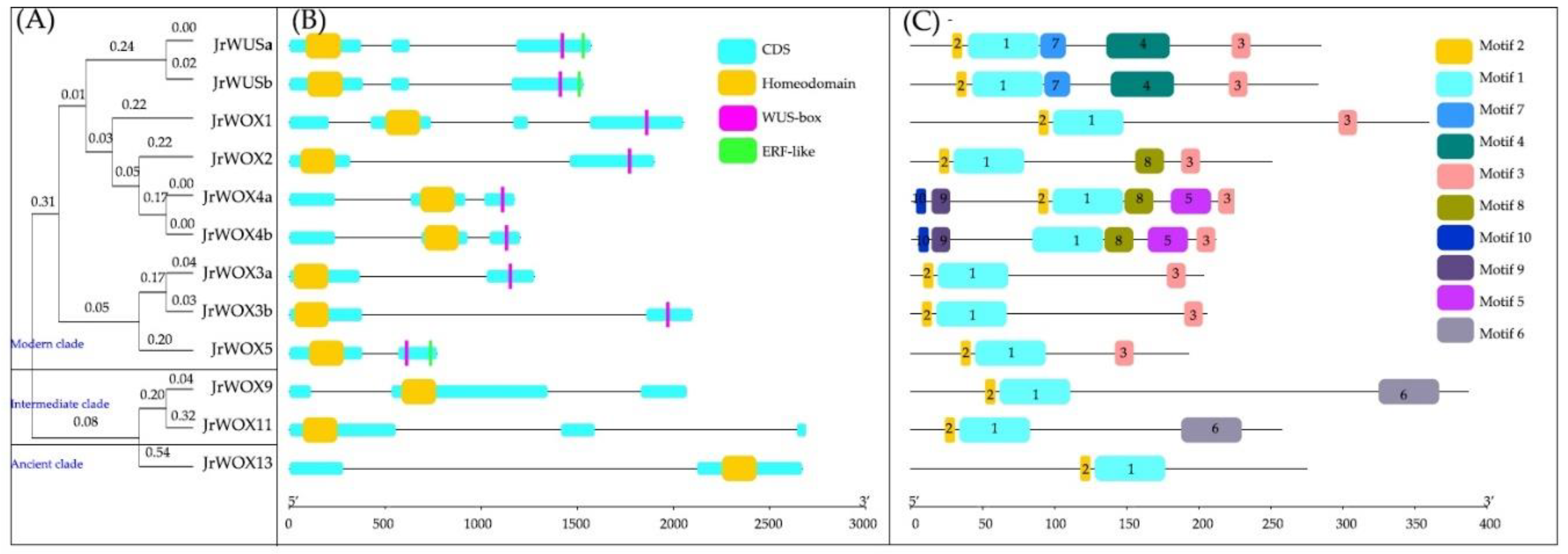 Forests 11 00016 g001 Forests 11 00016 g001