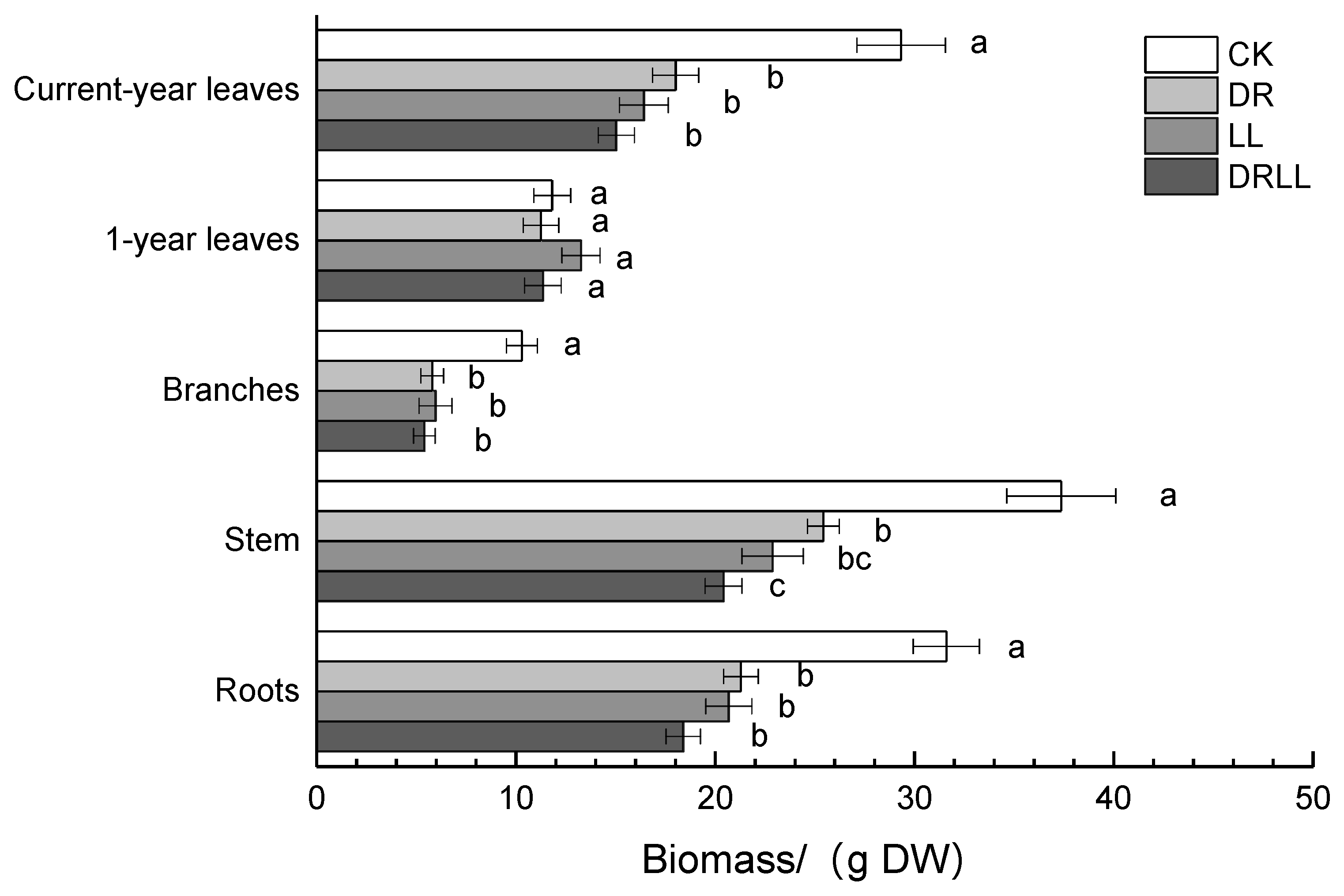 Forests 11 00018 g002