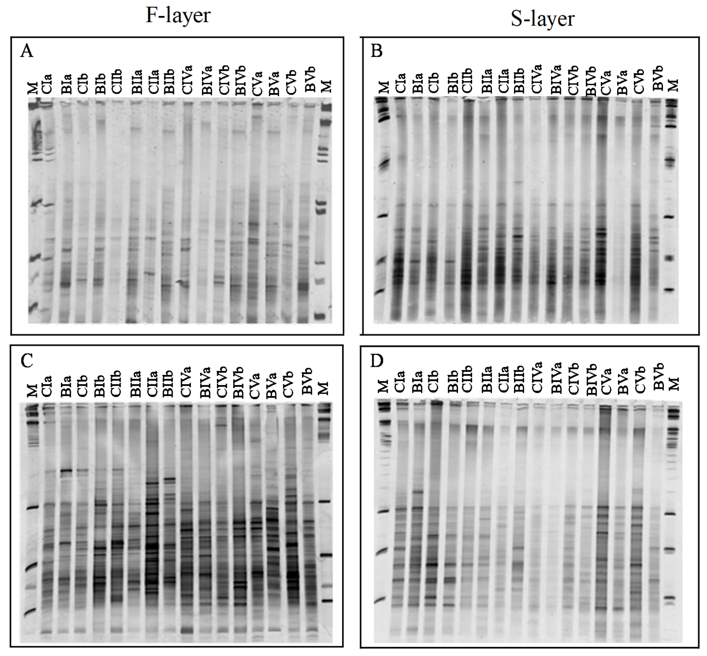 Forests 11 00019 g004 Forests 11 00019 g004