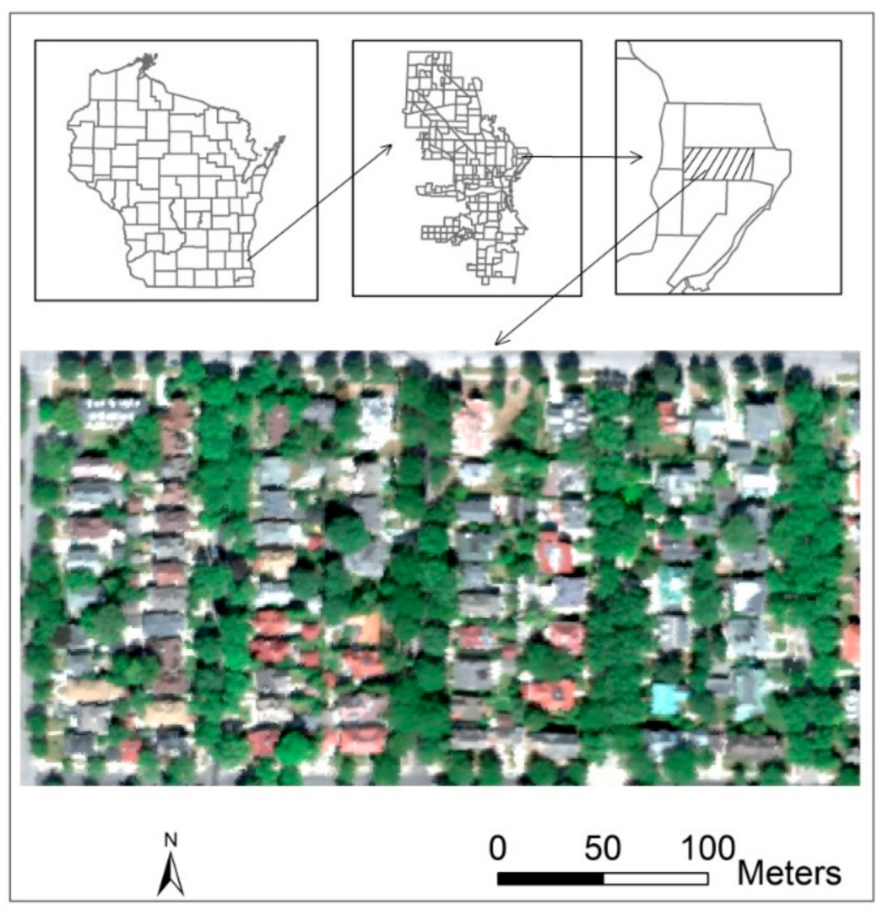 Forests 11 00028 g001 Forests 11 00028 g001