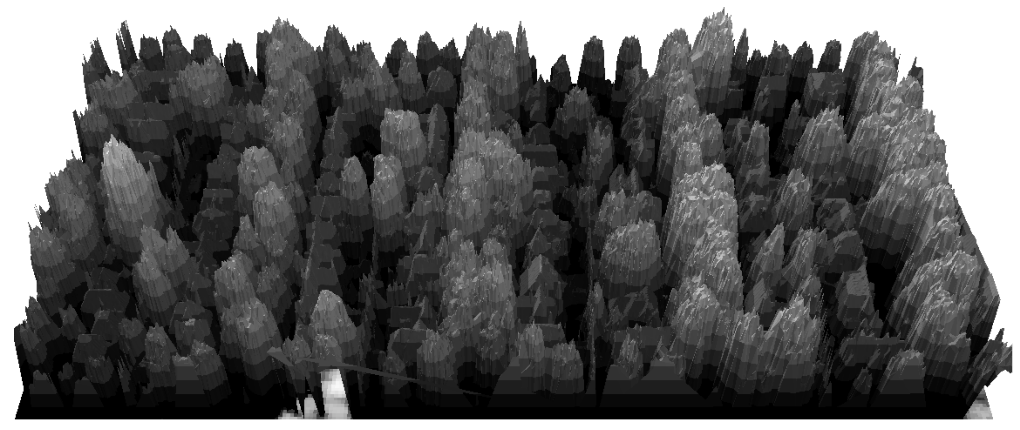 Forests 11 00028 g006 Forests 11 00028 g006