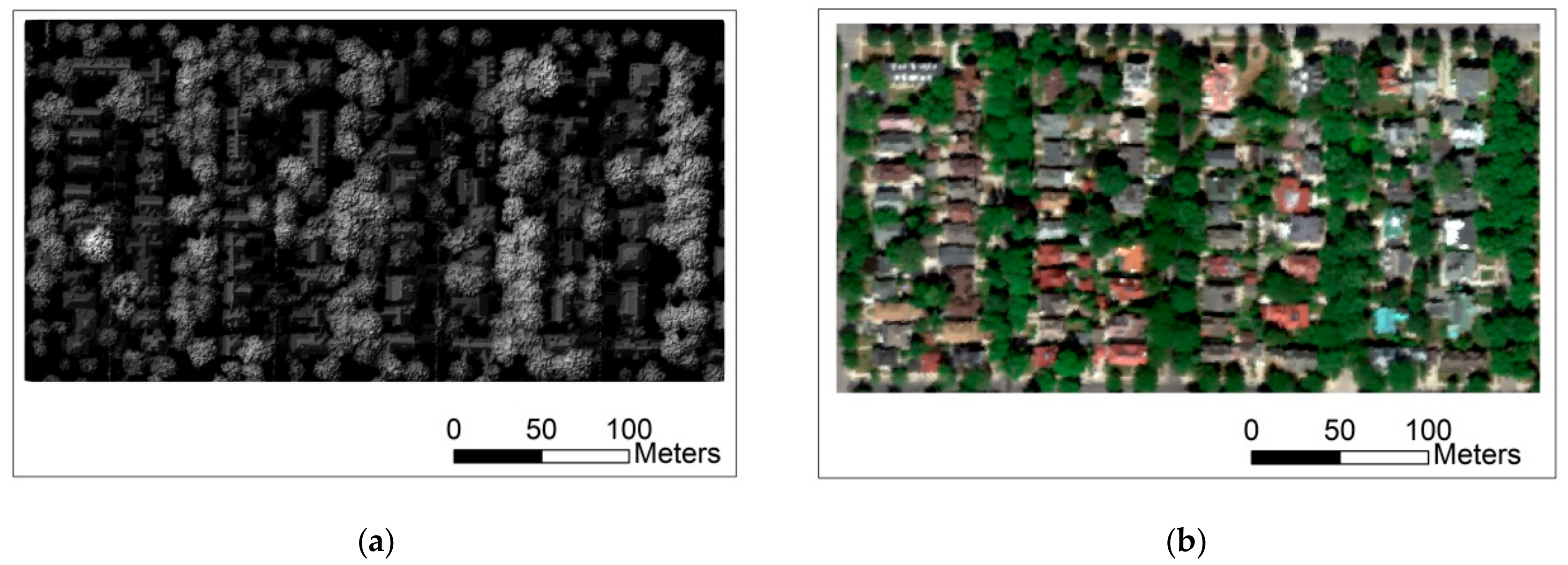 Forests 11 00028 g007 Forests 11 00028 g007
