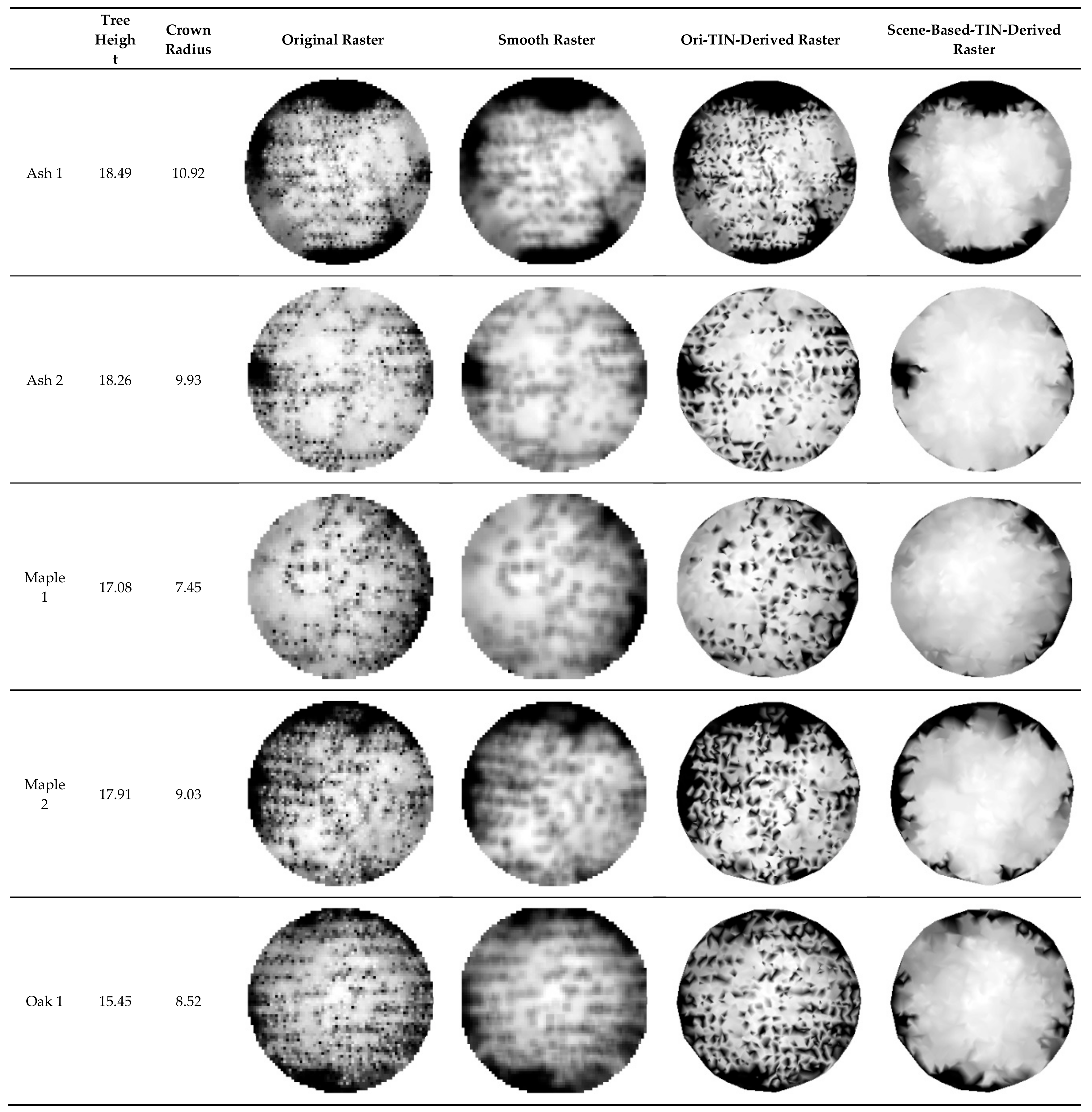 Forests 11 00028 g010a Forests 11 00028 g010a