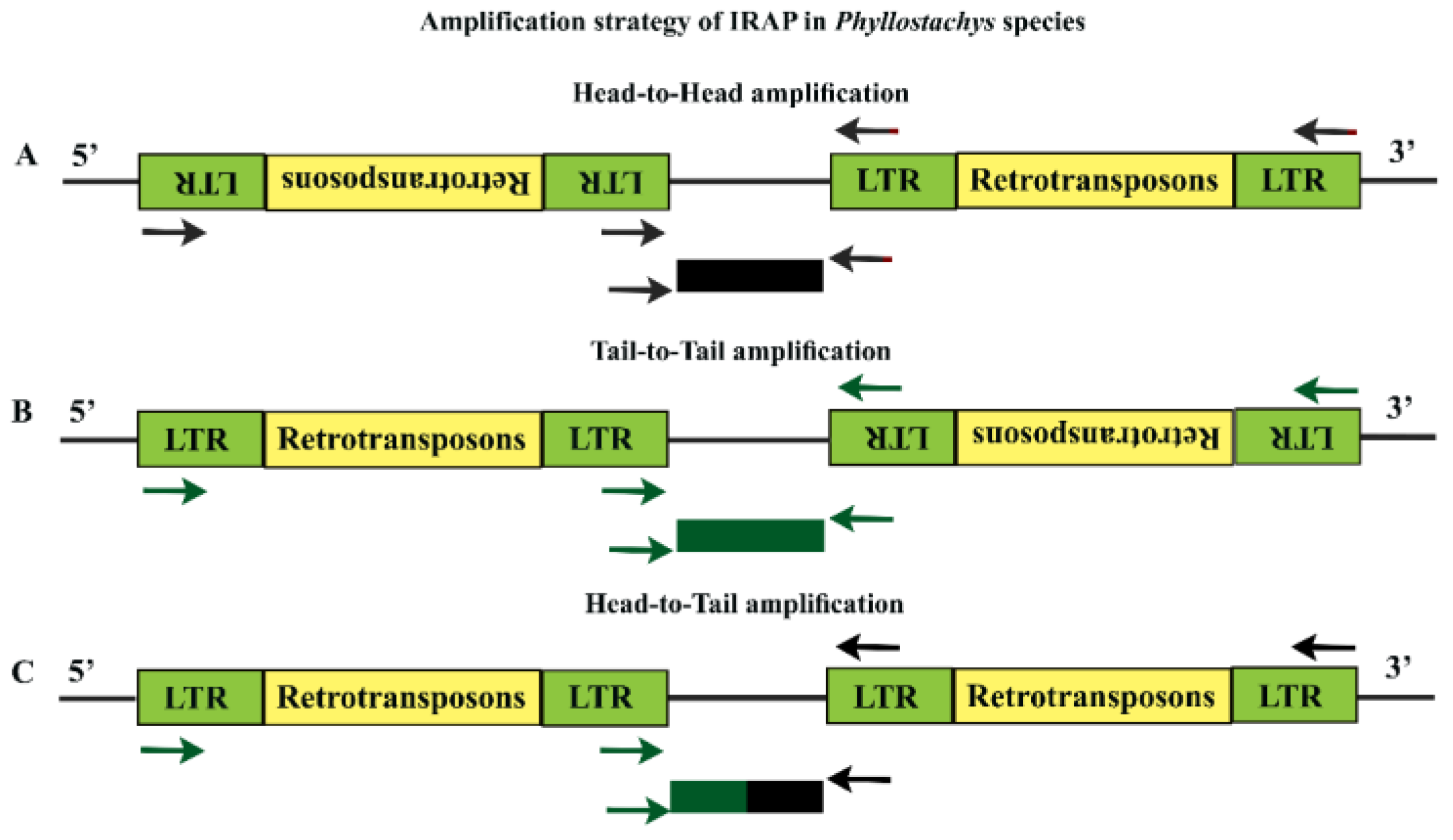 Forests 11 00031 g001 Forests 11 00031 g001