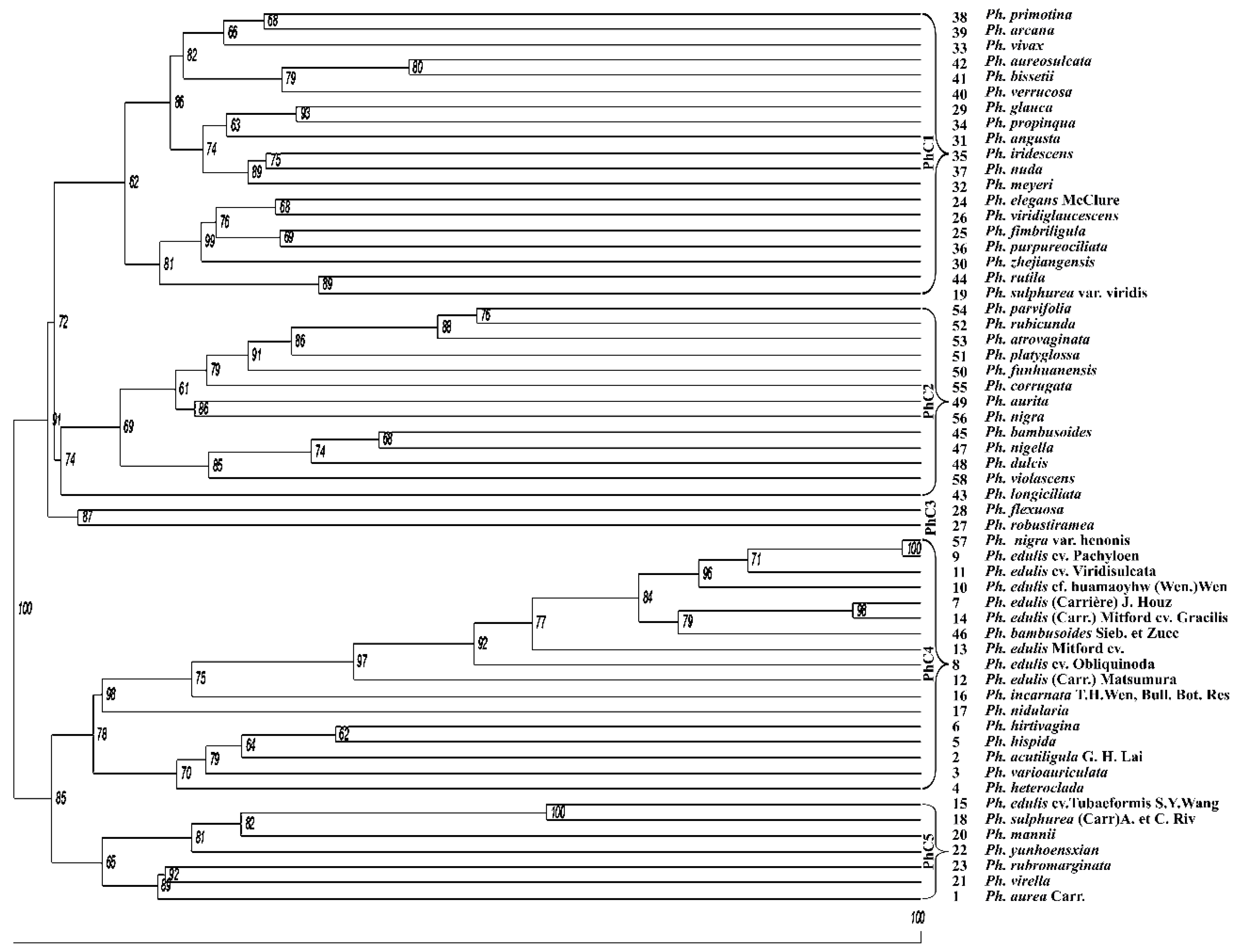 Forests 11 00031 g004 Forests 11 00031 g004