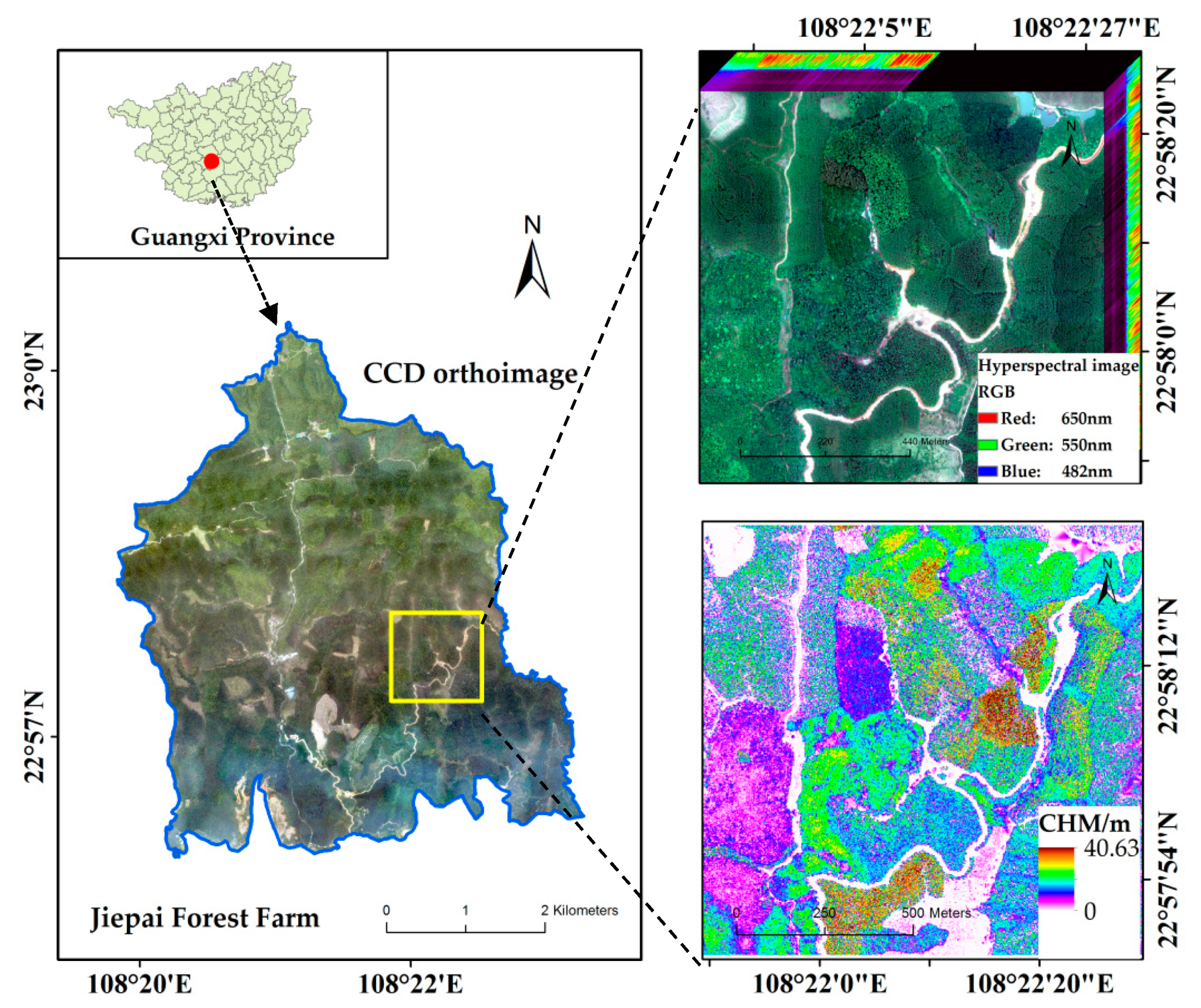 Forests 11 00032 g001 Forests 11 00032 g001