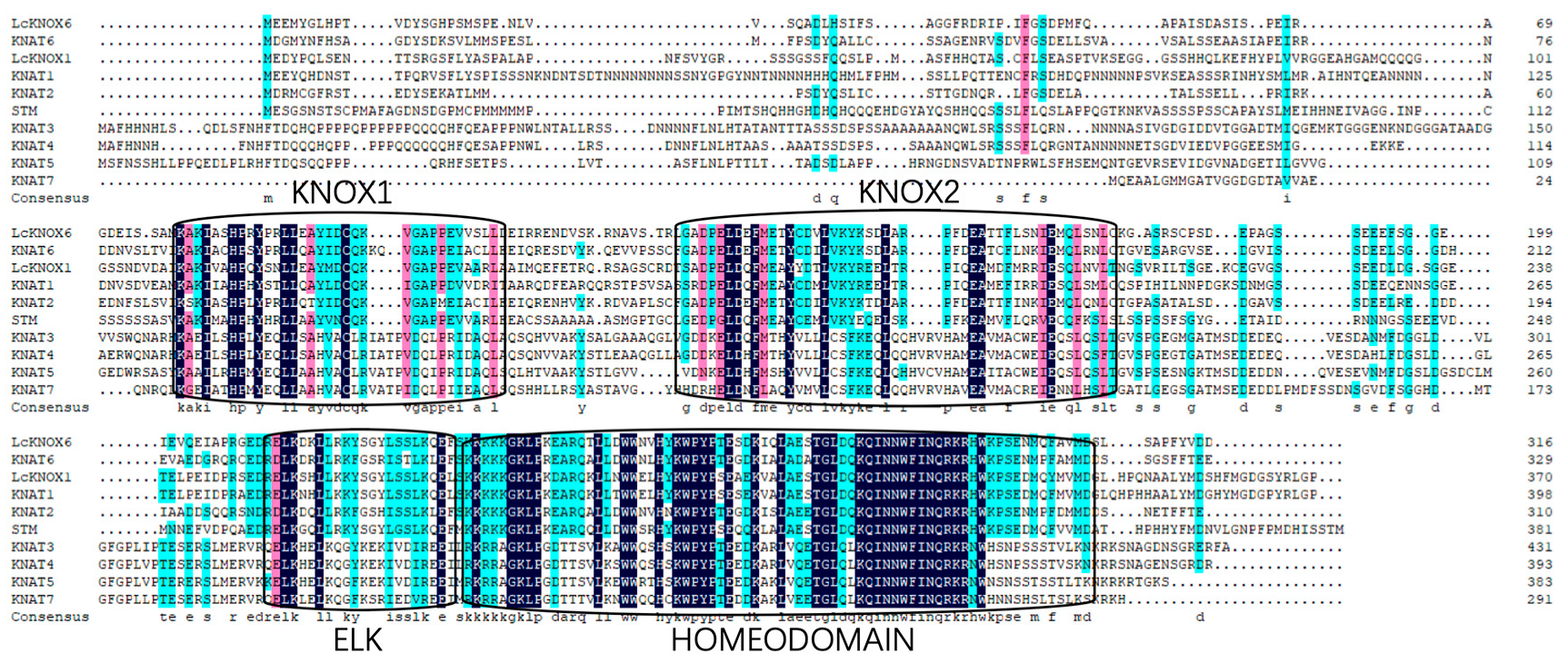 Forests 11 00033 g001 Forests 11 00033 g001