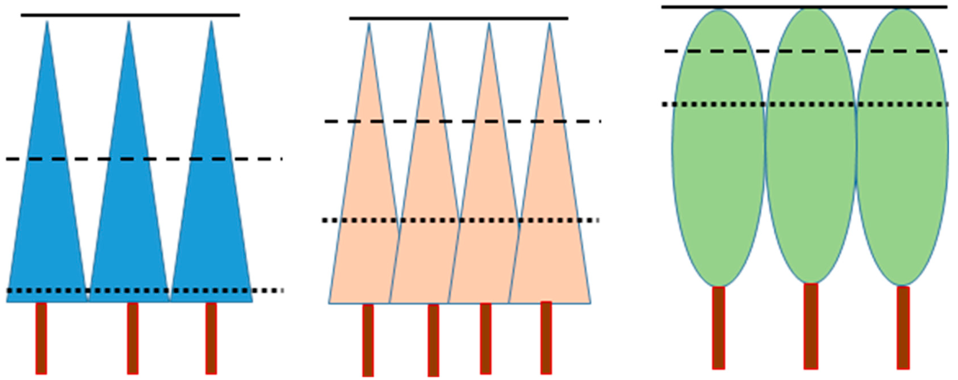 Forests 11 00037 g001