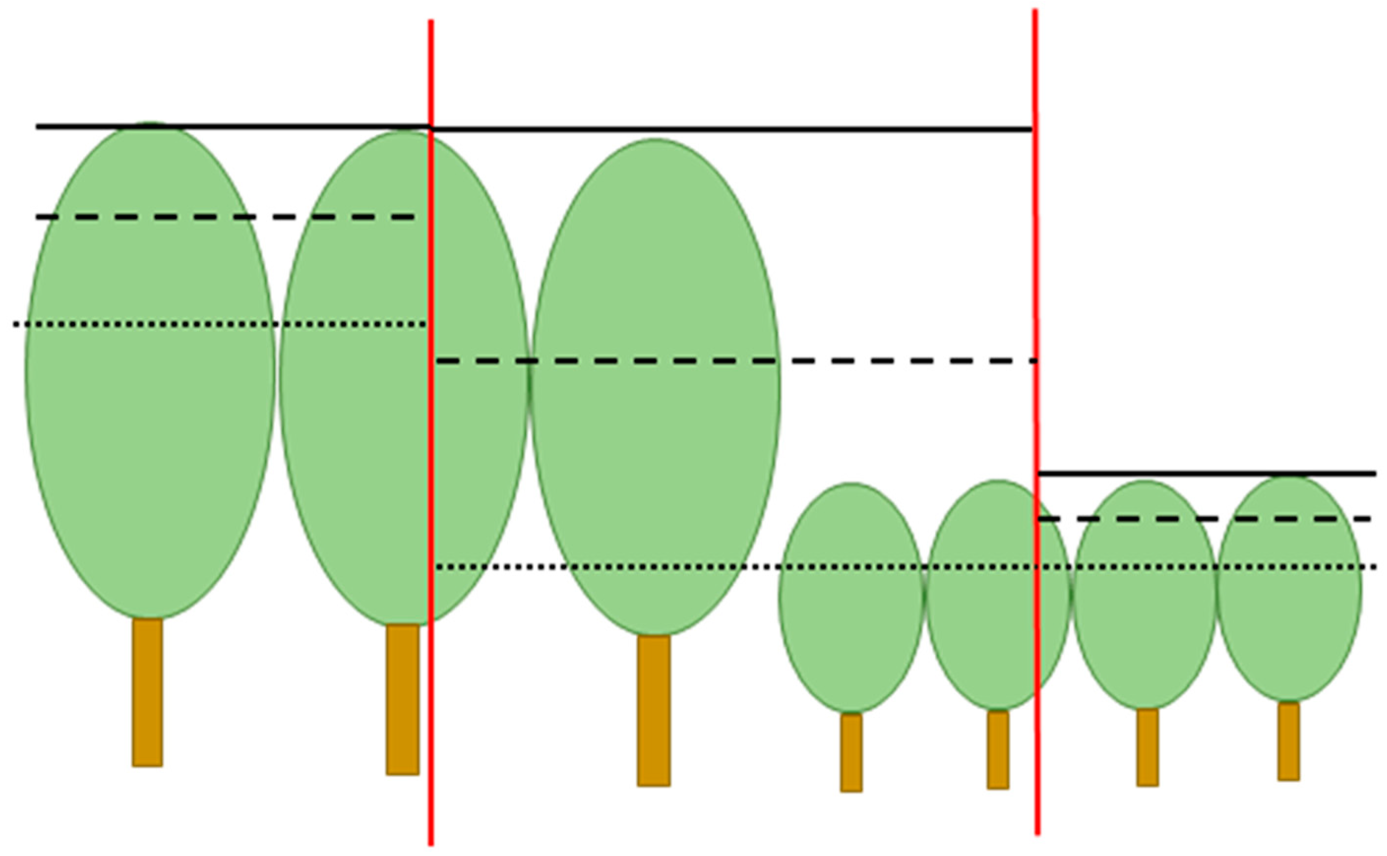 Forests 11 00037 g002