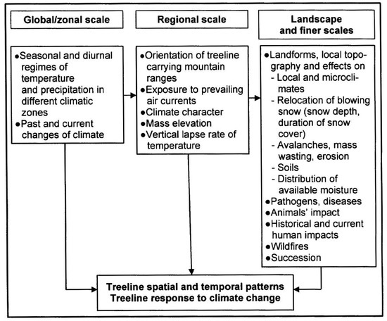 Change in treeline position over time is hypothesised to depend on