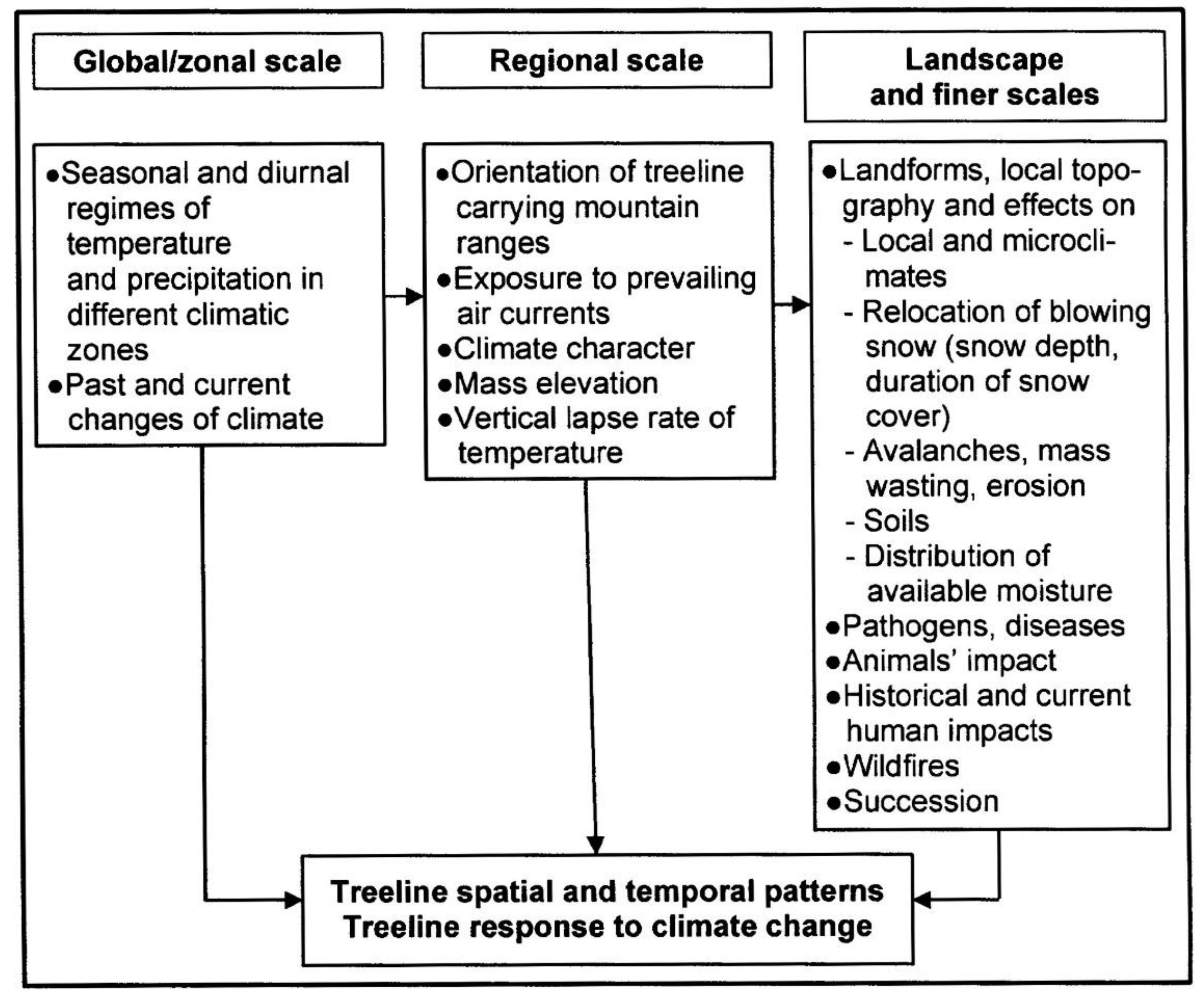 Forests 11 00038 g004