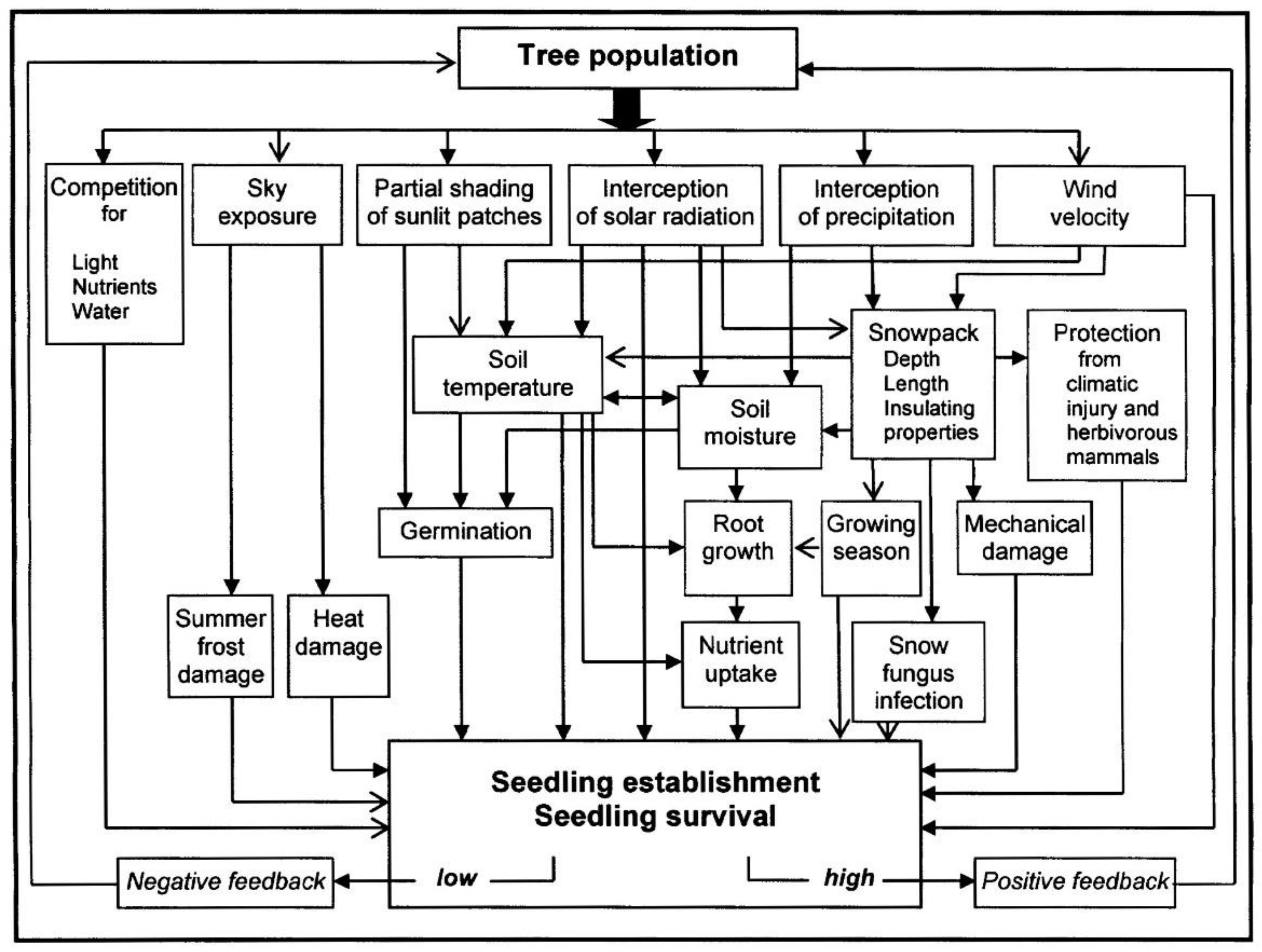 Forests 11 00038 g005
