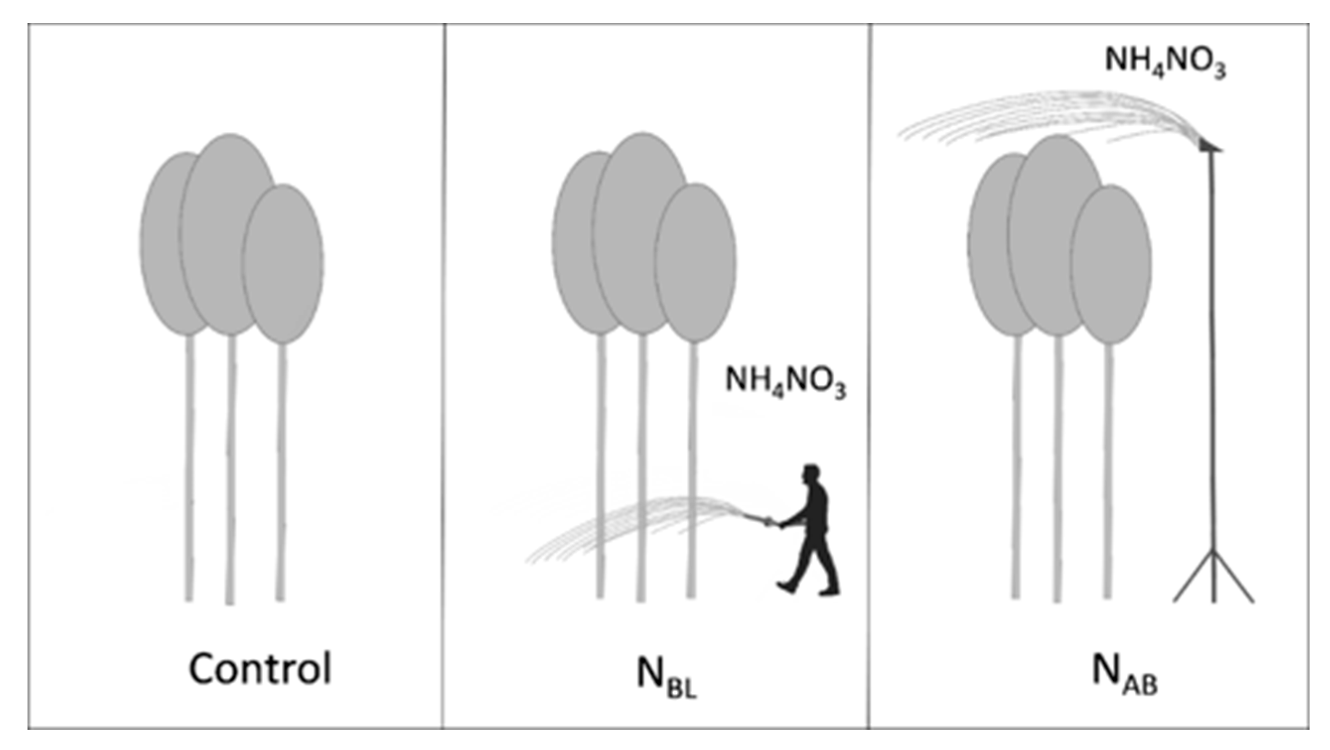 Forests 11 00047 g002 Forests 11 00047 g002