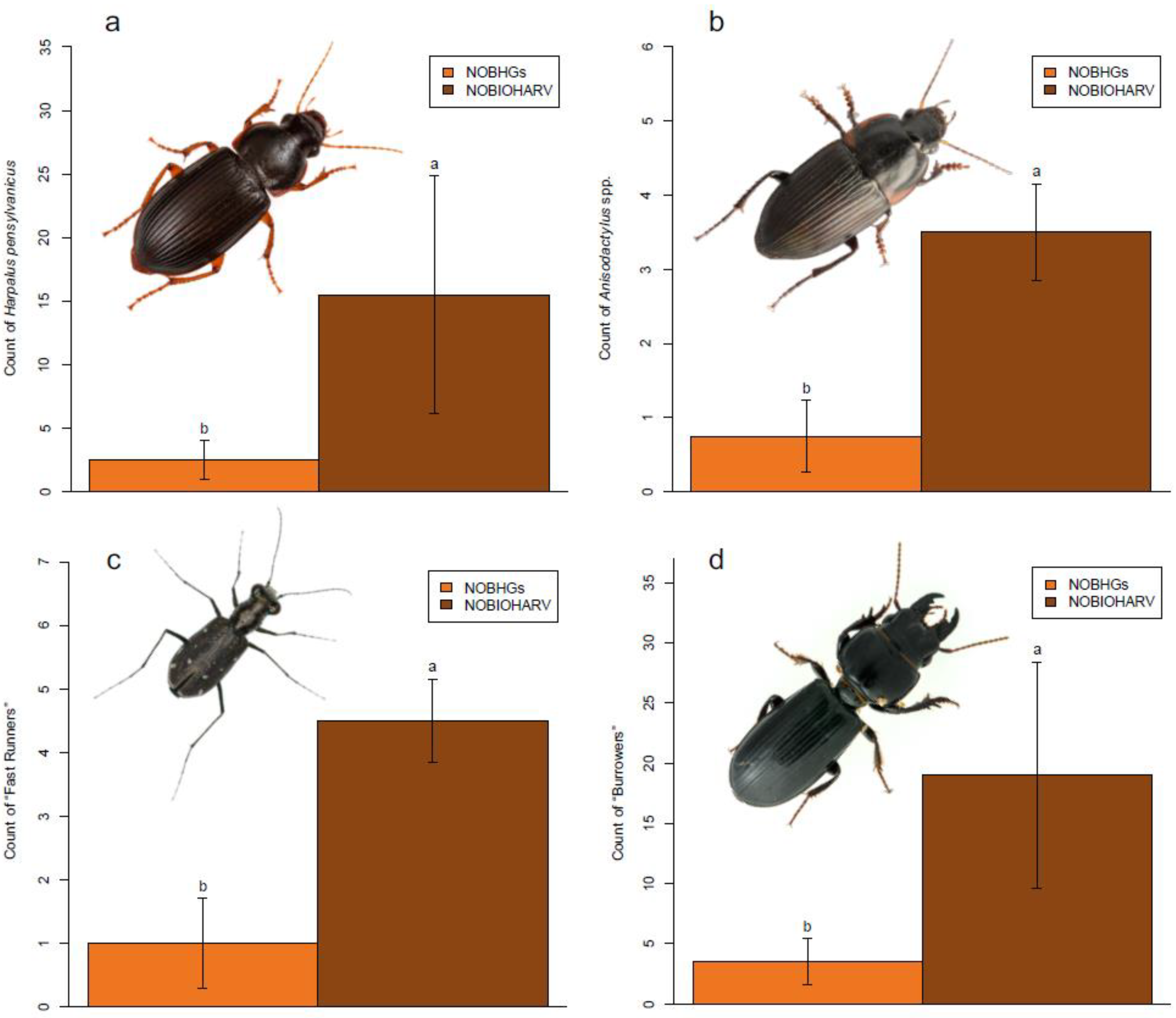 Forests 11 00048 g003 Forests 11 00048 g003