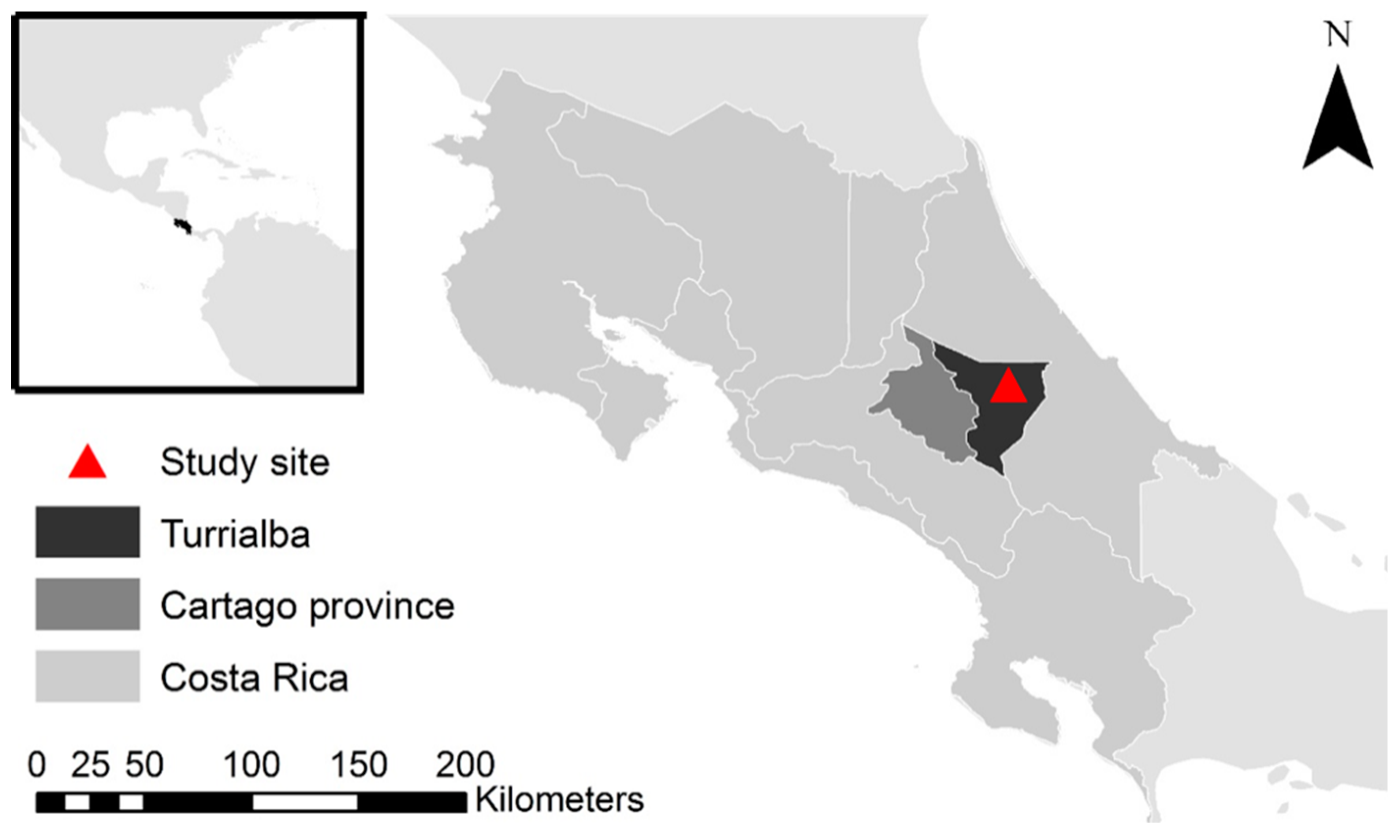 Forests 11 00049 g001