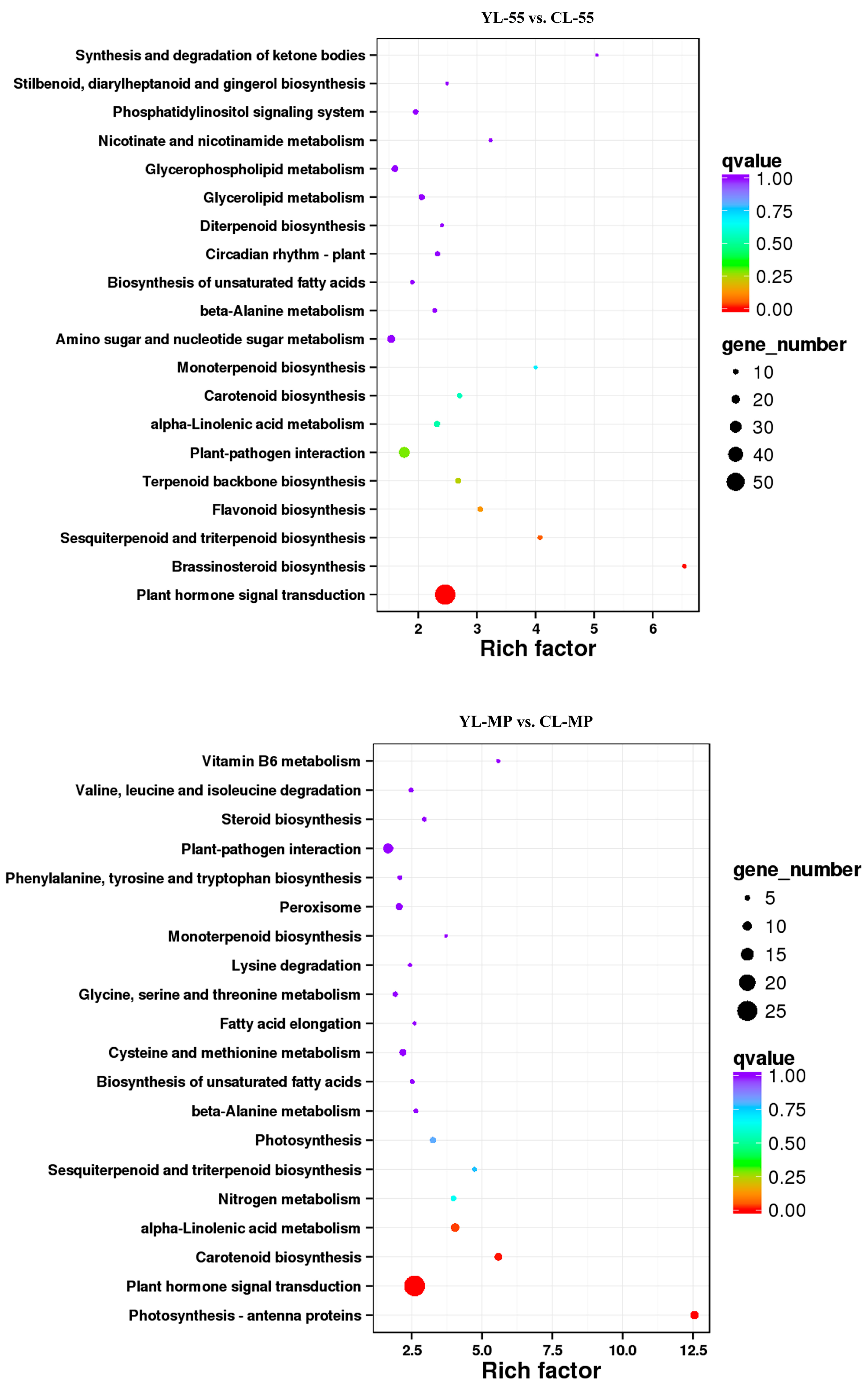 Forests 11 00053 g006b Forests 11 00053 g006b