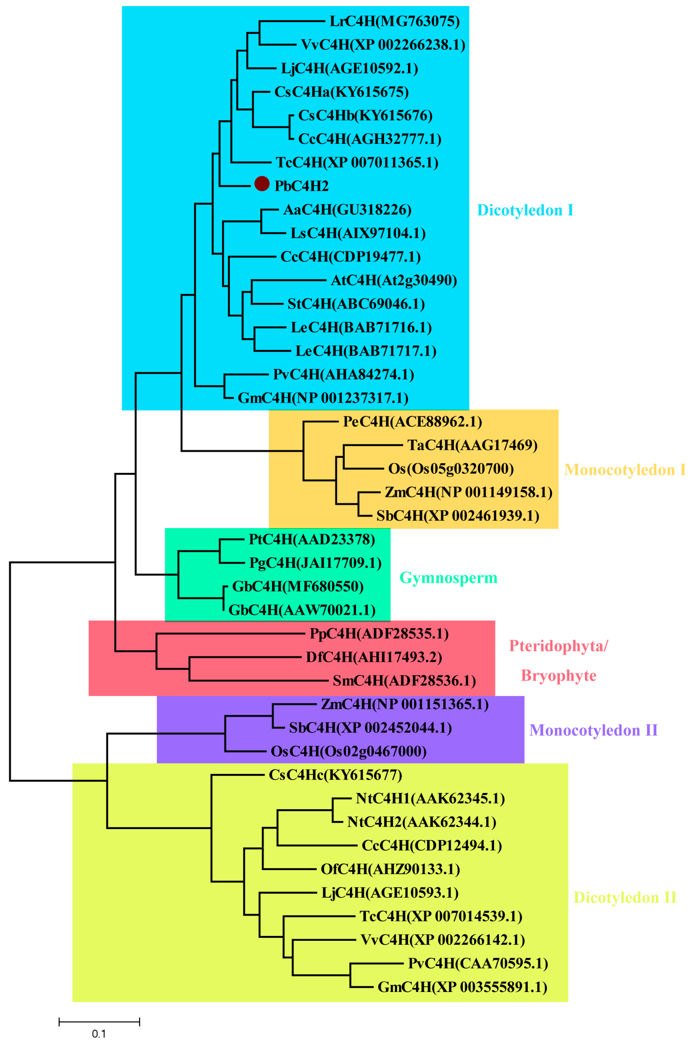 Forests 11 00053 g009 Forests 11 00053 g009