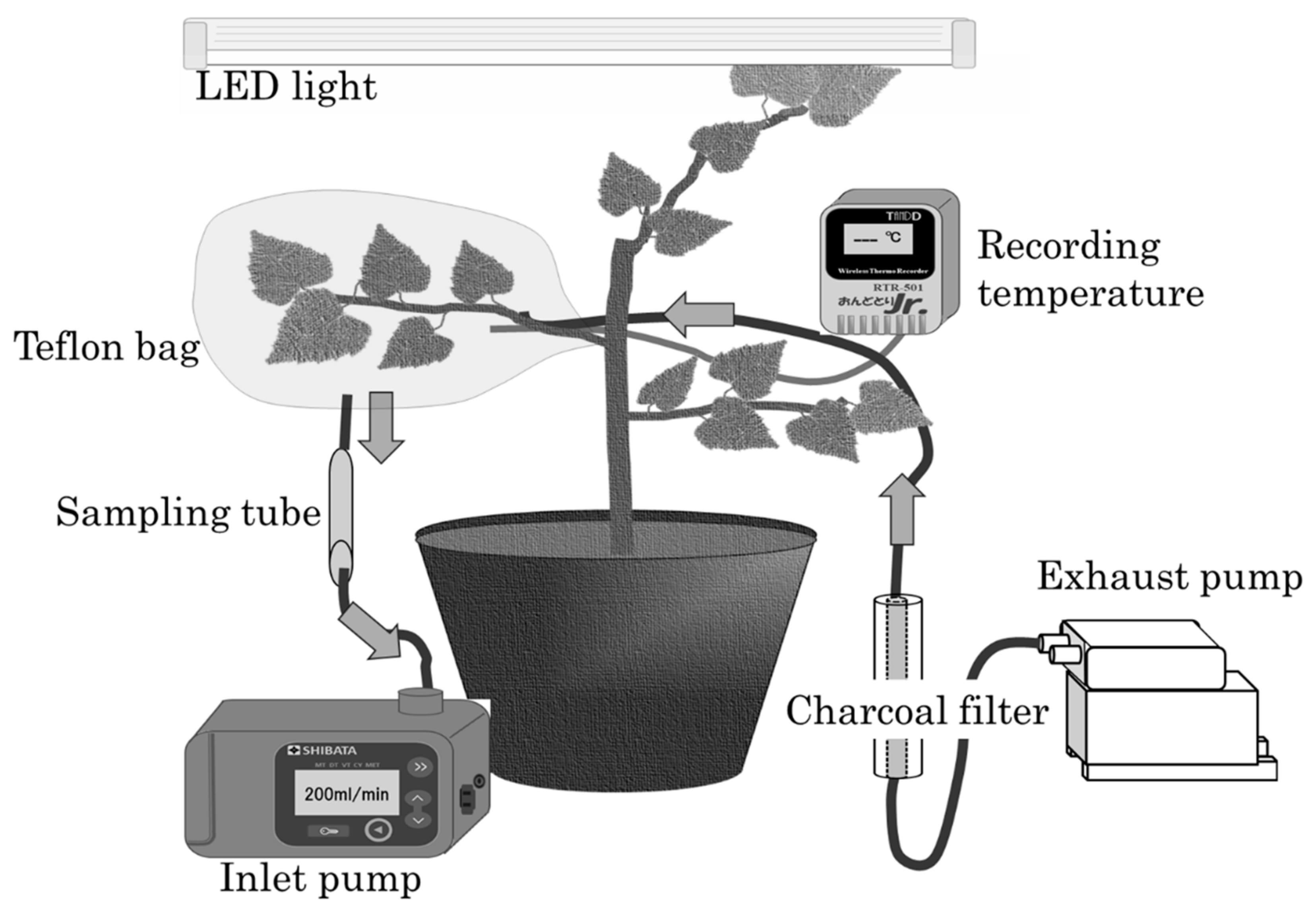 Forests 11 00058 g002