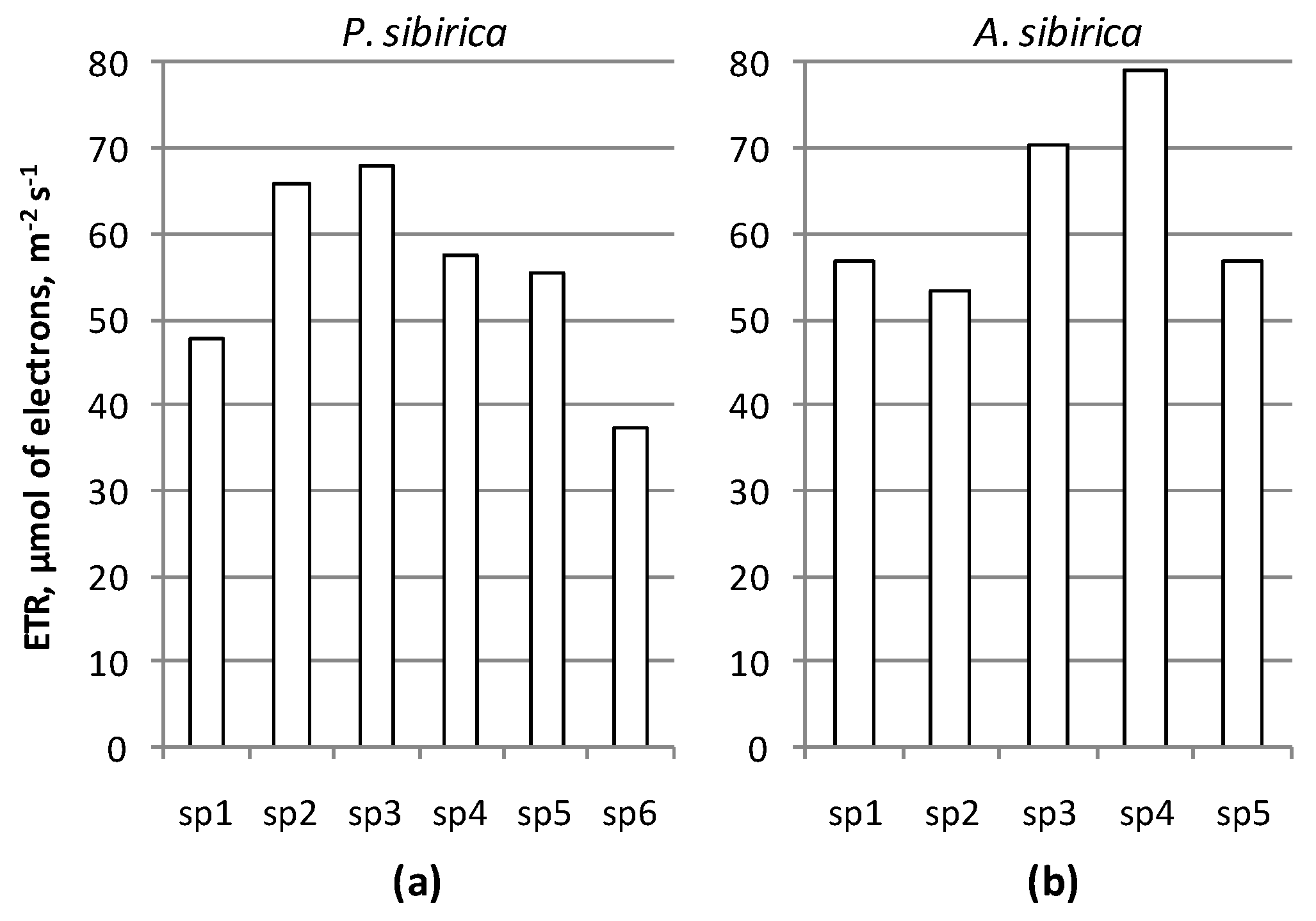 Forests 11 00063 g005