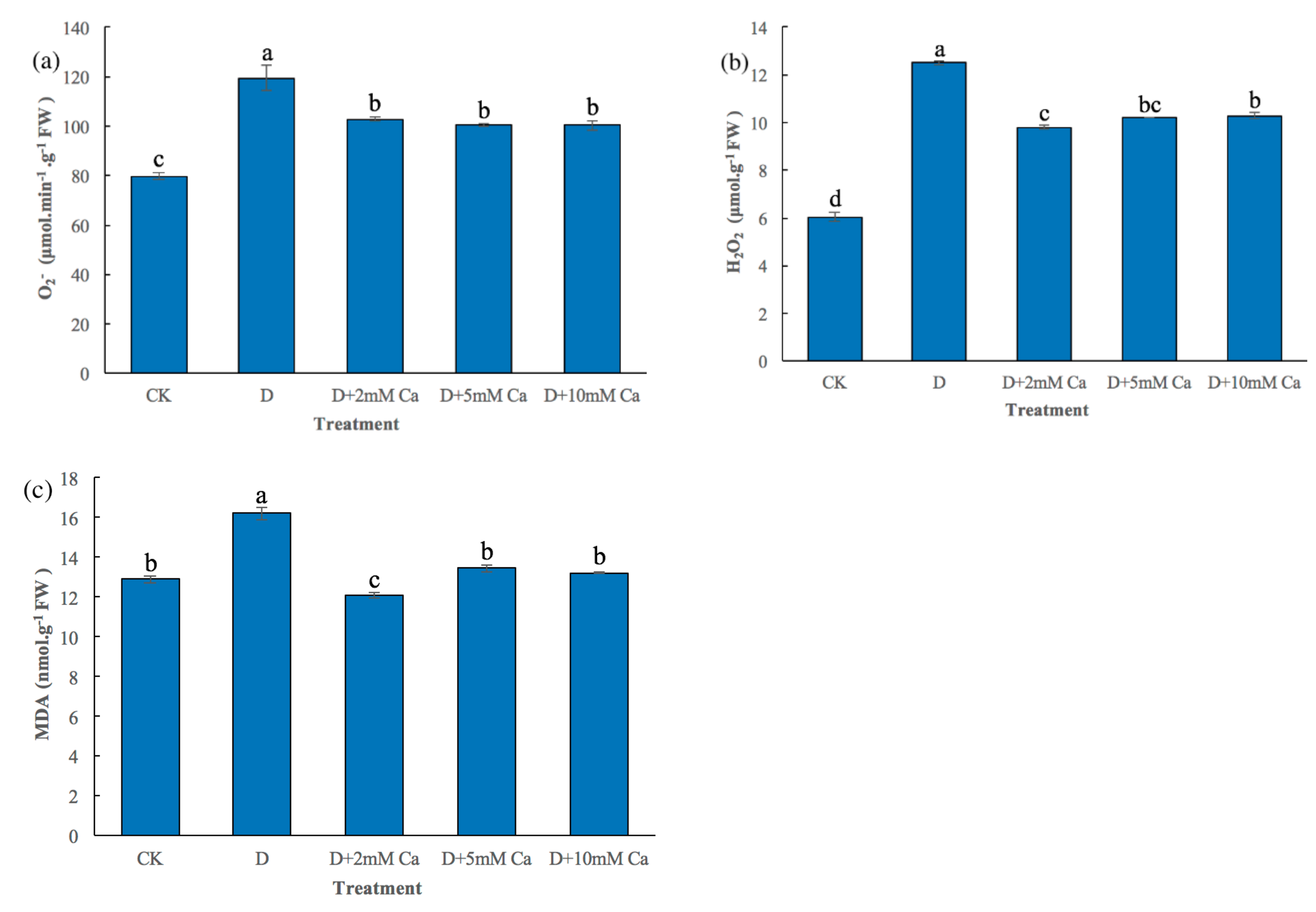 Forests 11 00069 g002 550
