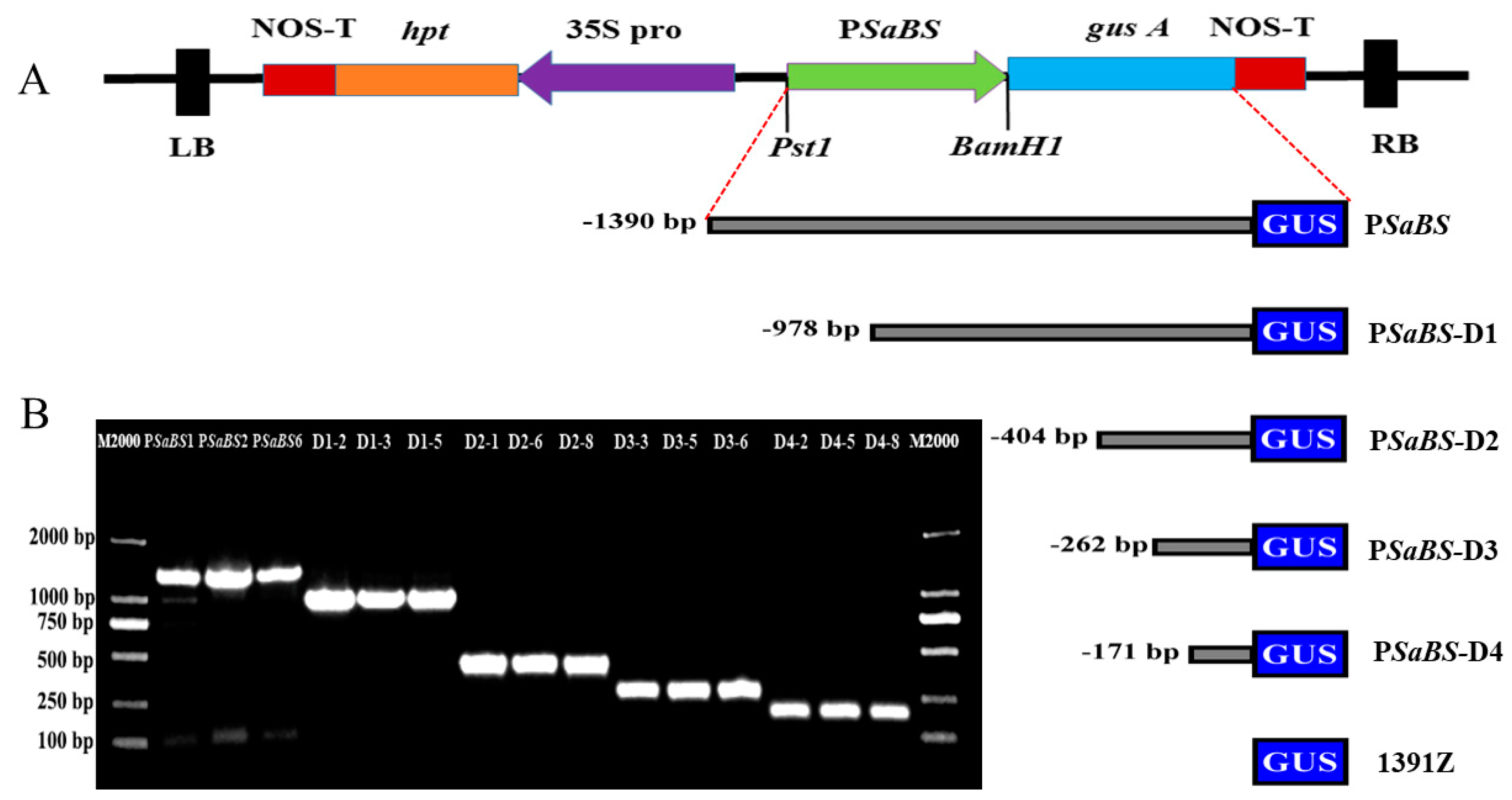 Forests 11 00085 g001