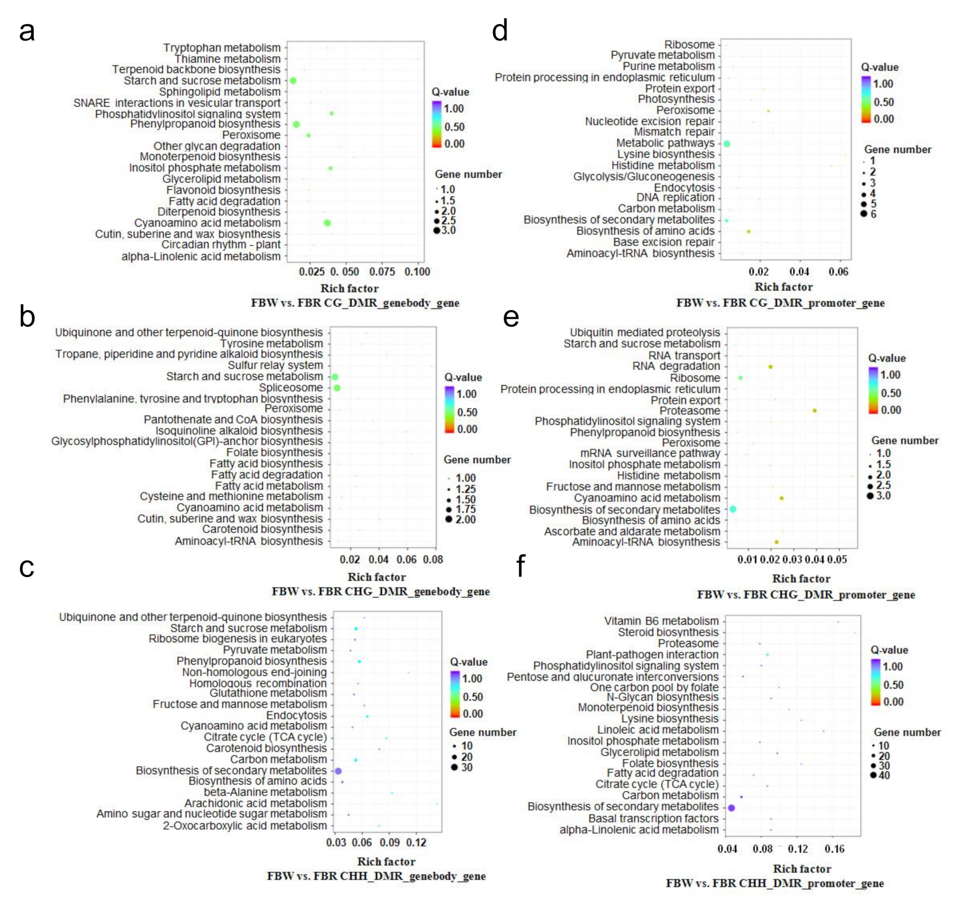 Forests 11 00090 g005 Forests 11 00090 g005