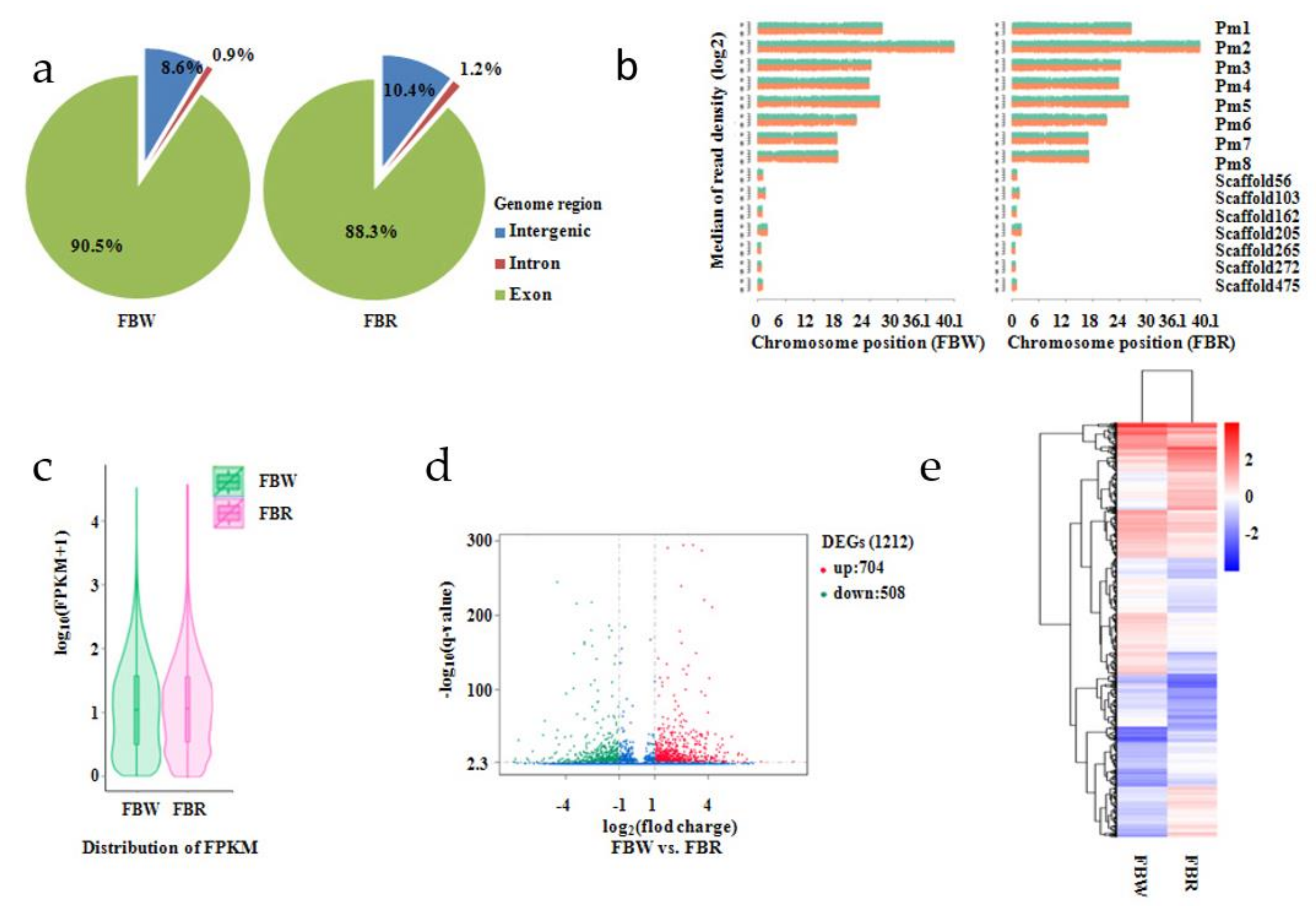 Forests 11 00090 g006 Forests 11 00090 g006