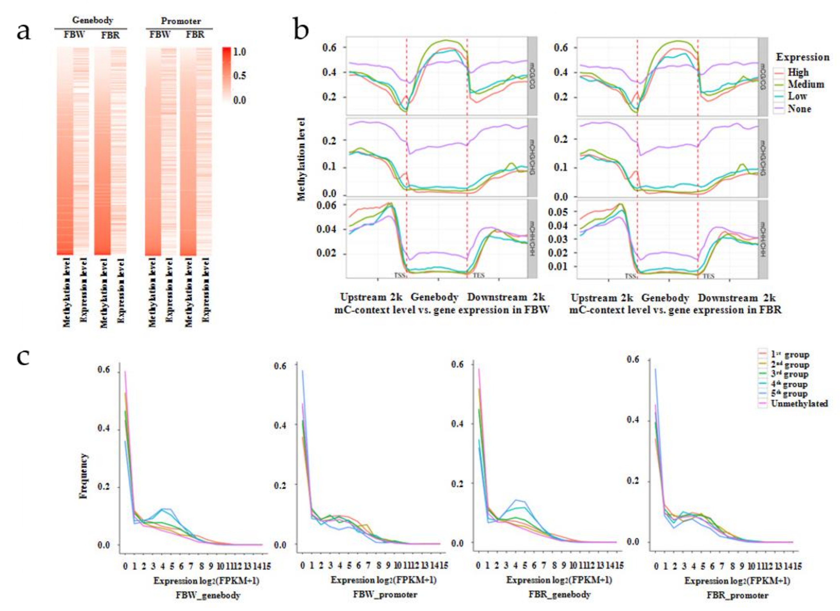 Forests 11 00090 g008 Forests 11 00090 g008