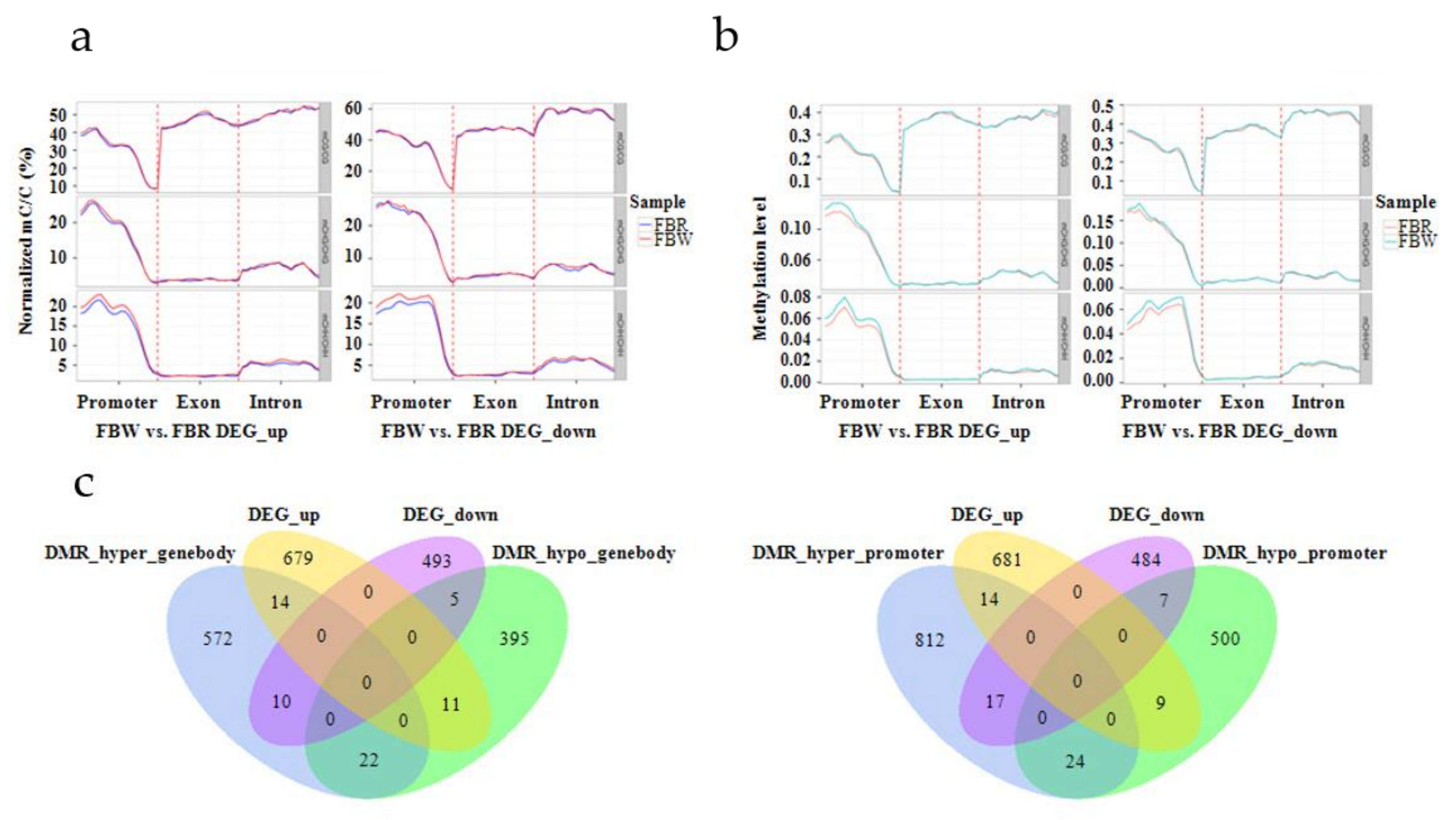 Forests 11 00090 g009 Forests 11 00090 g009