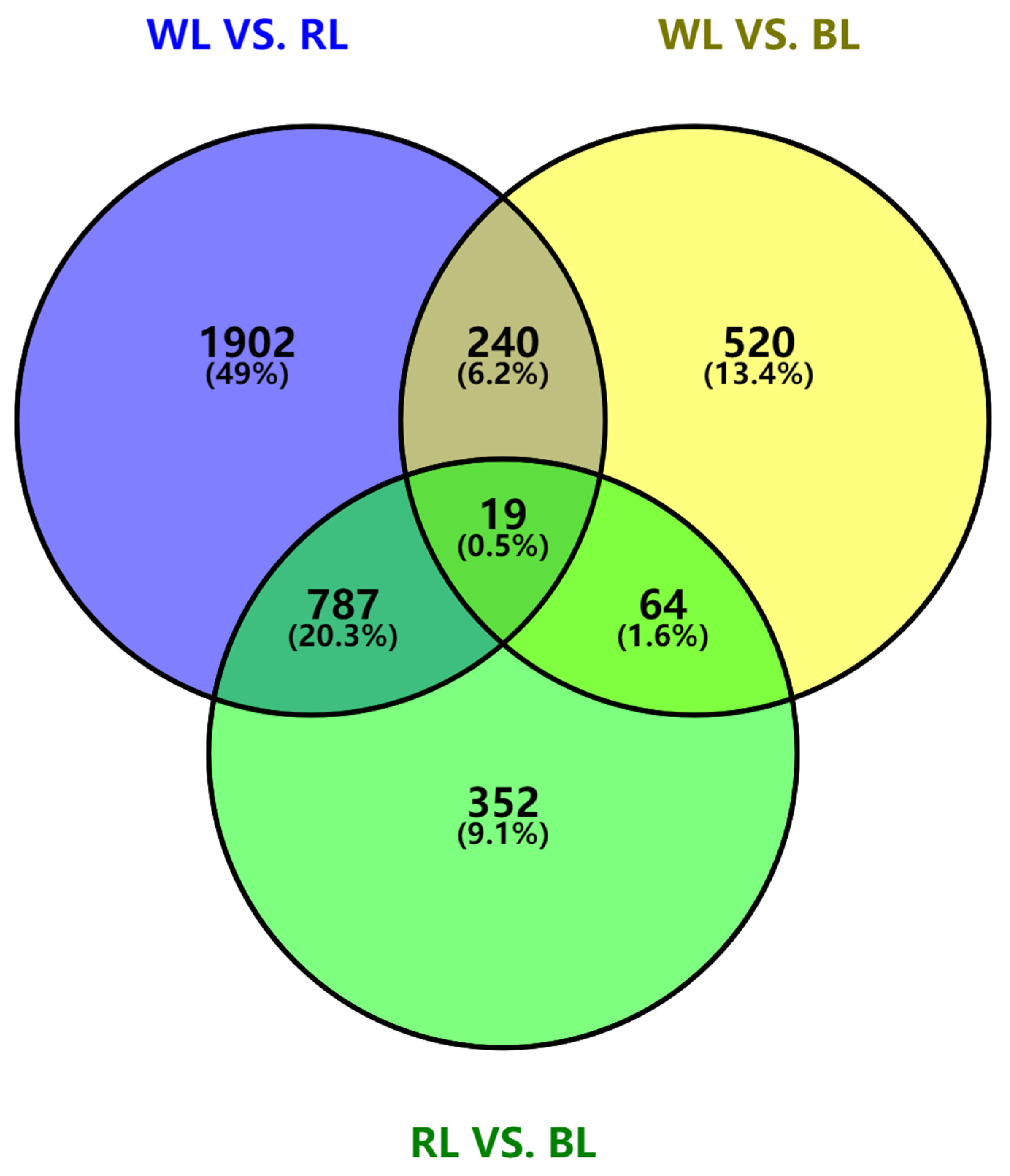 Forests 11 00091 g004
