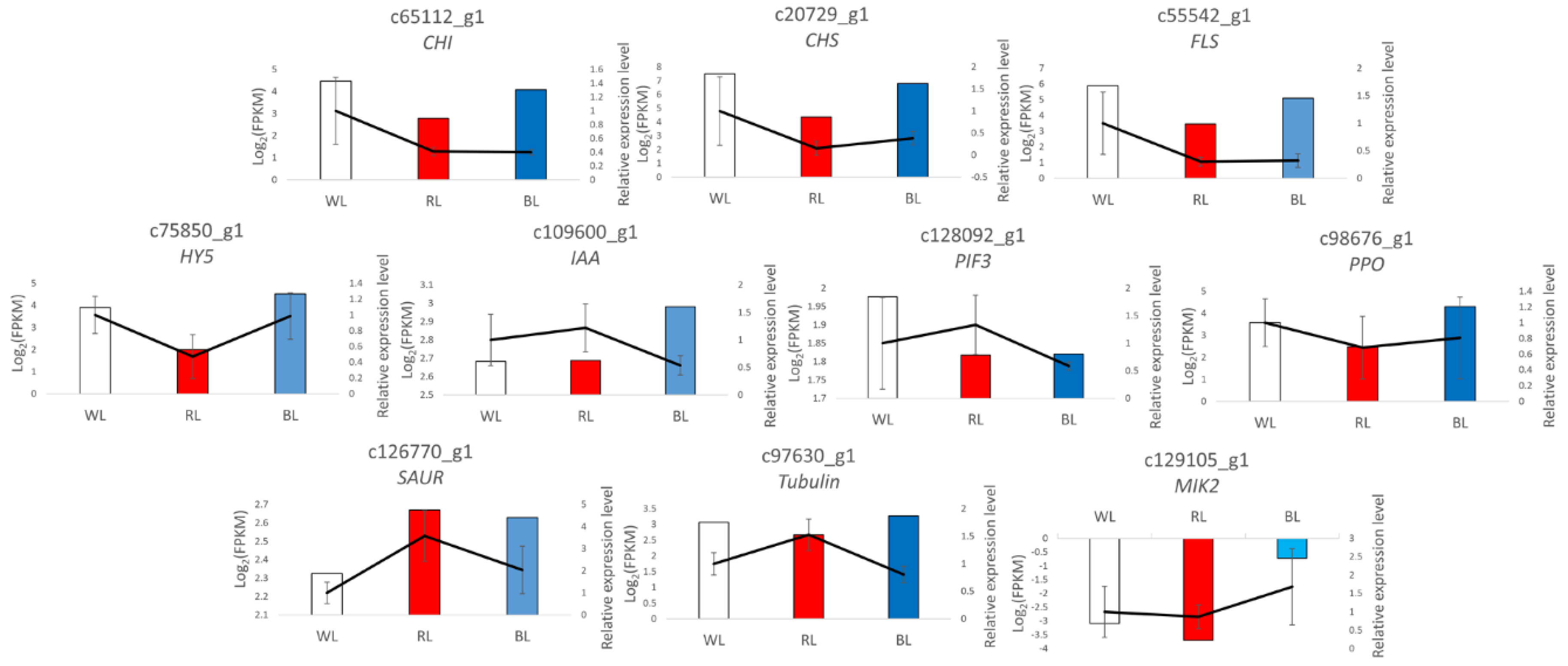 Forests 11 00091 g008