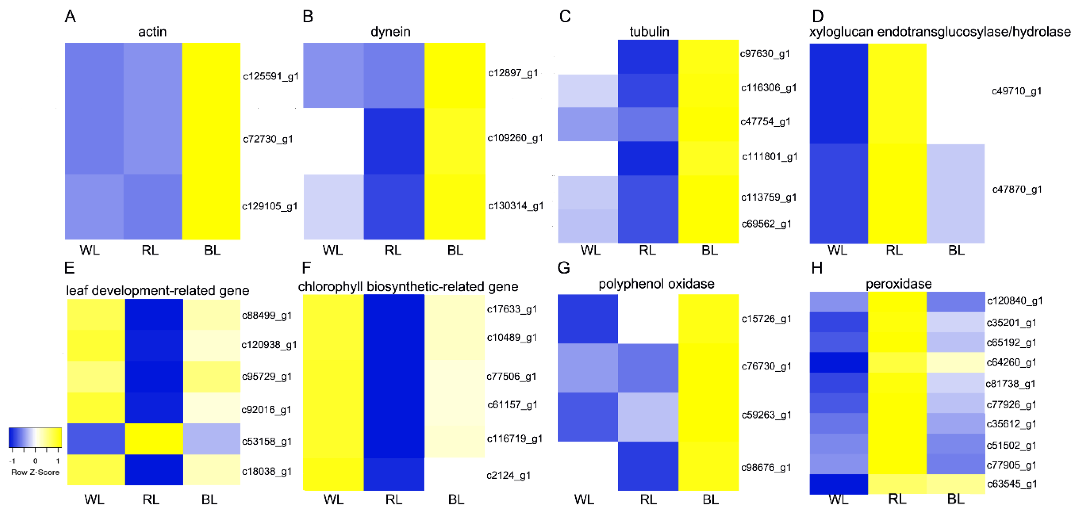 Forests 11 00091 g009